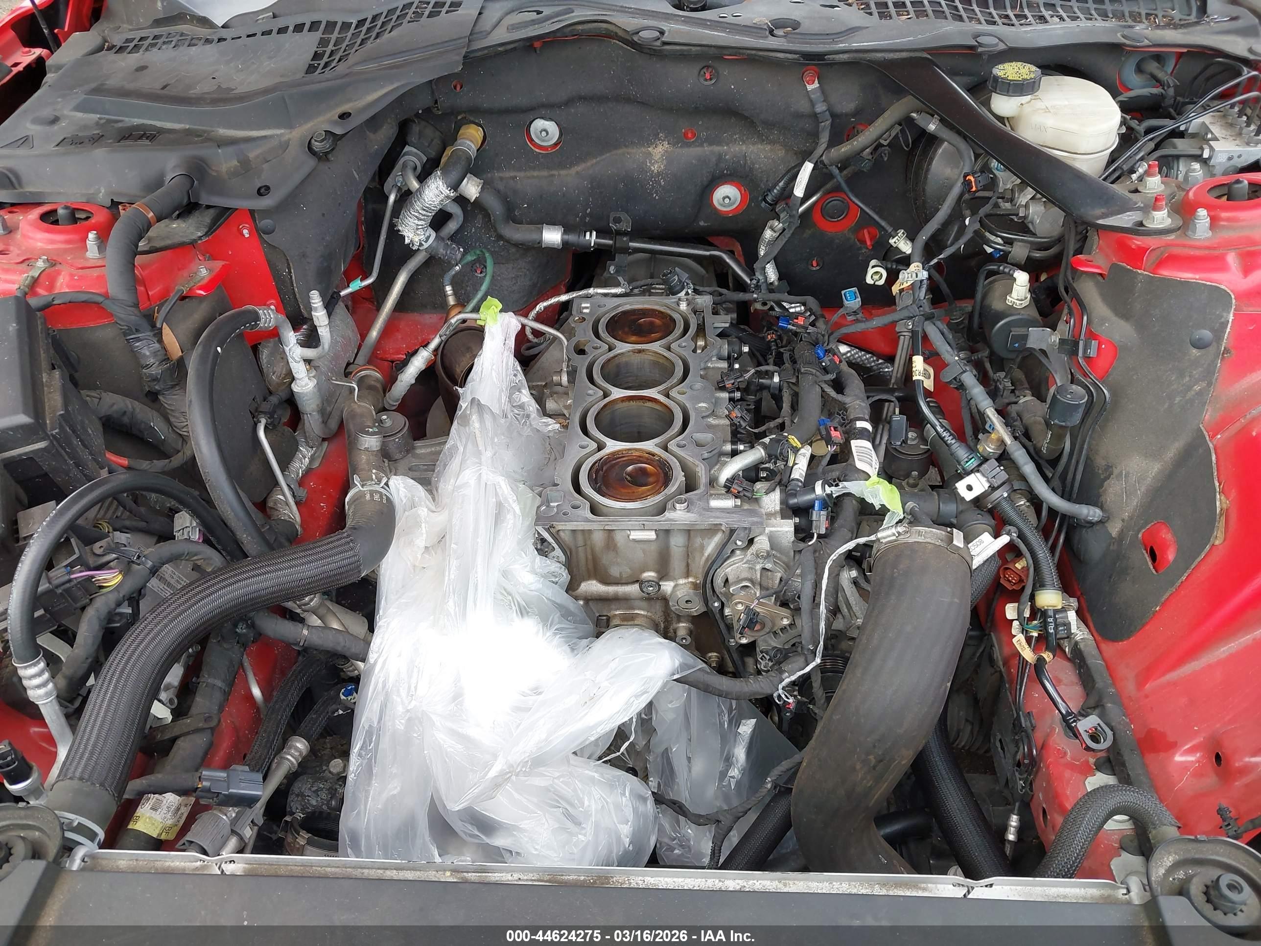 FORD MUSTANG image 10