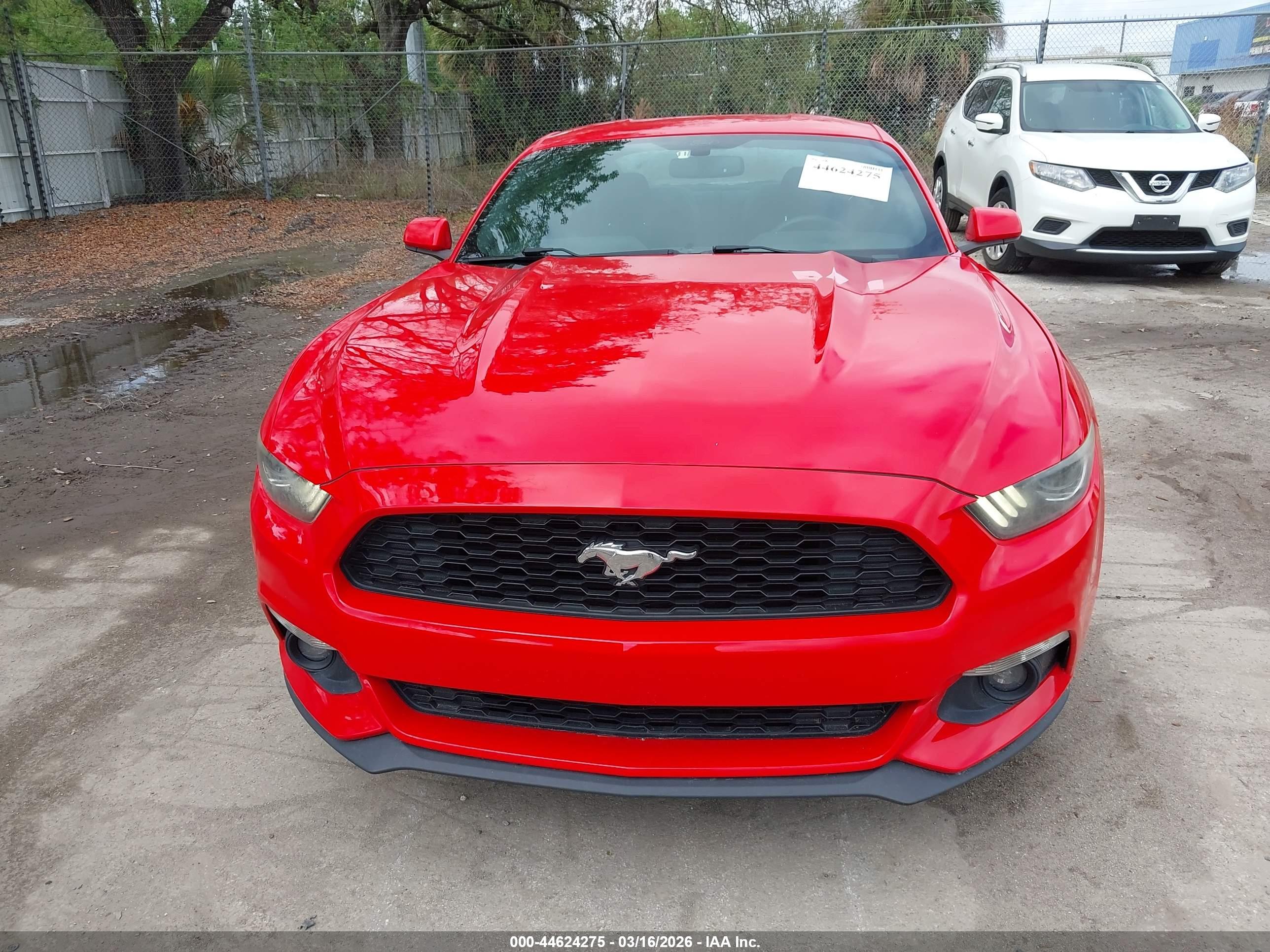 FORD MUSTANG image 6