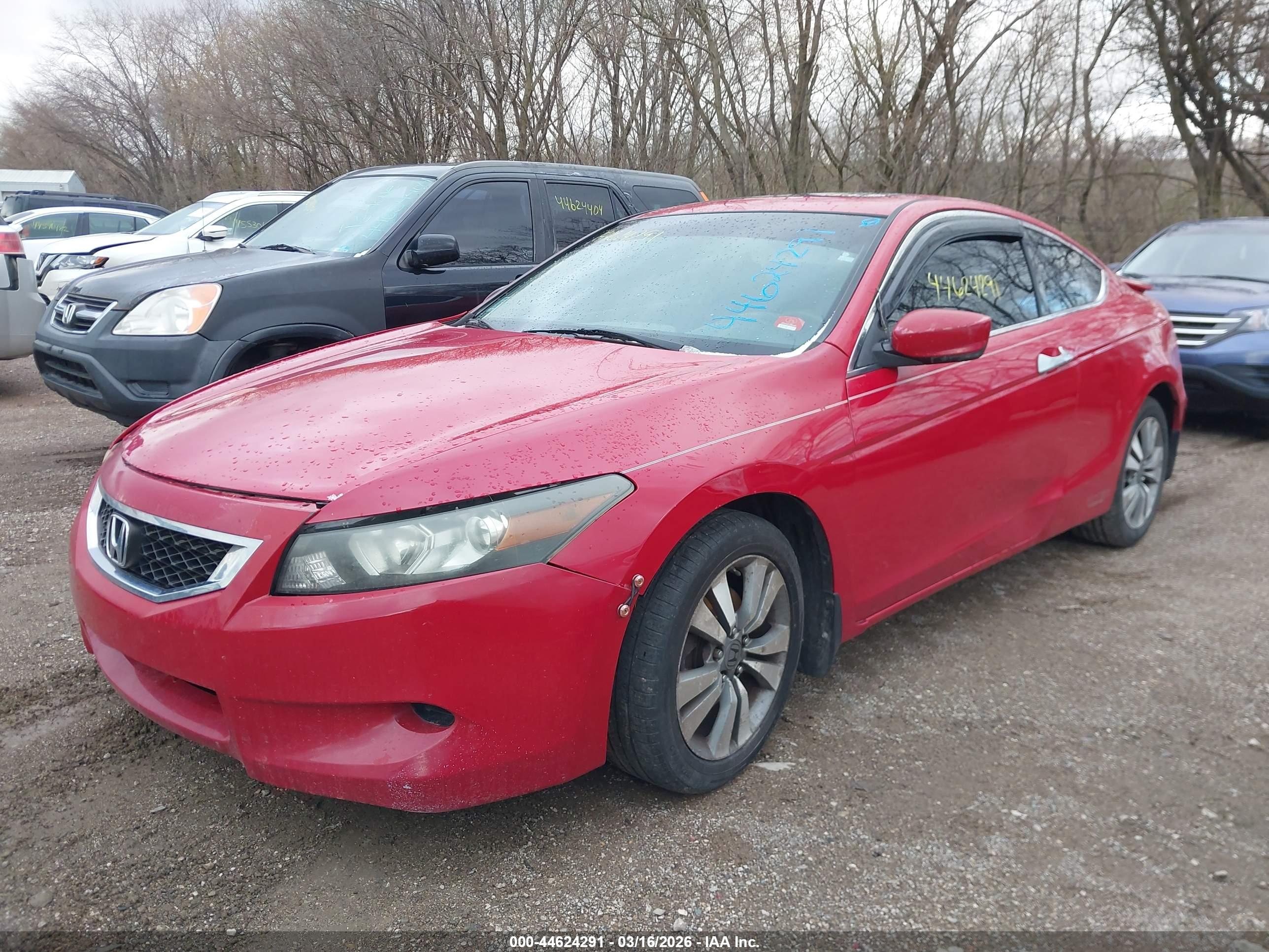 HONDA ACCORD image 6