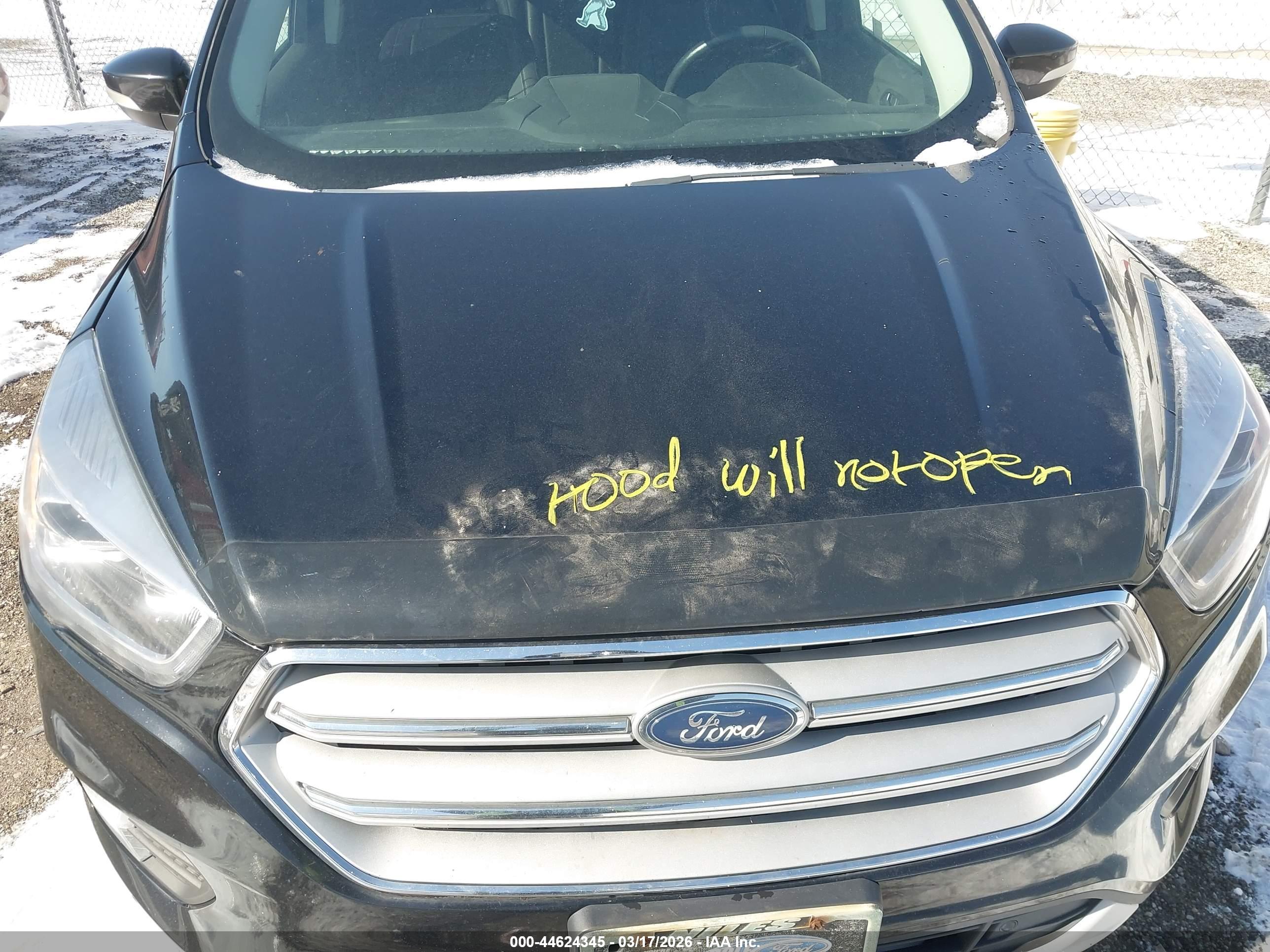 FORD ESCAPE image 10