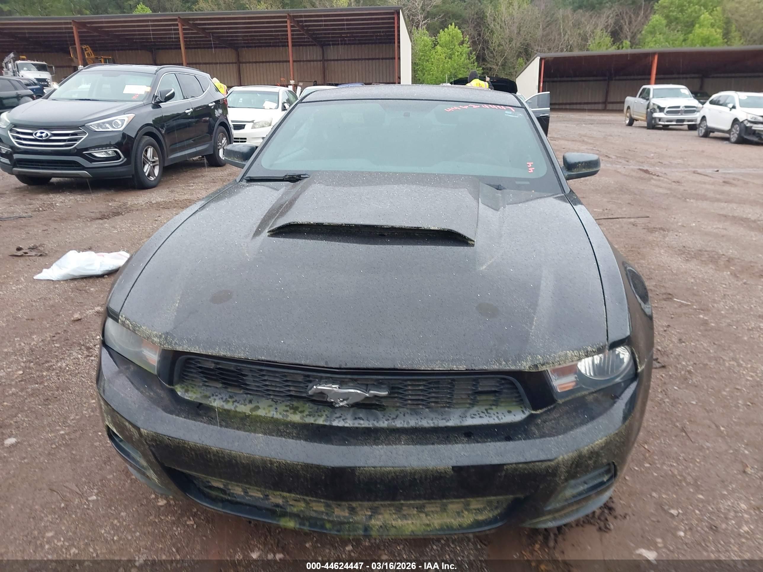 FORD MUSTANG image 6