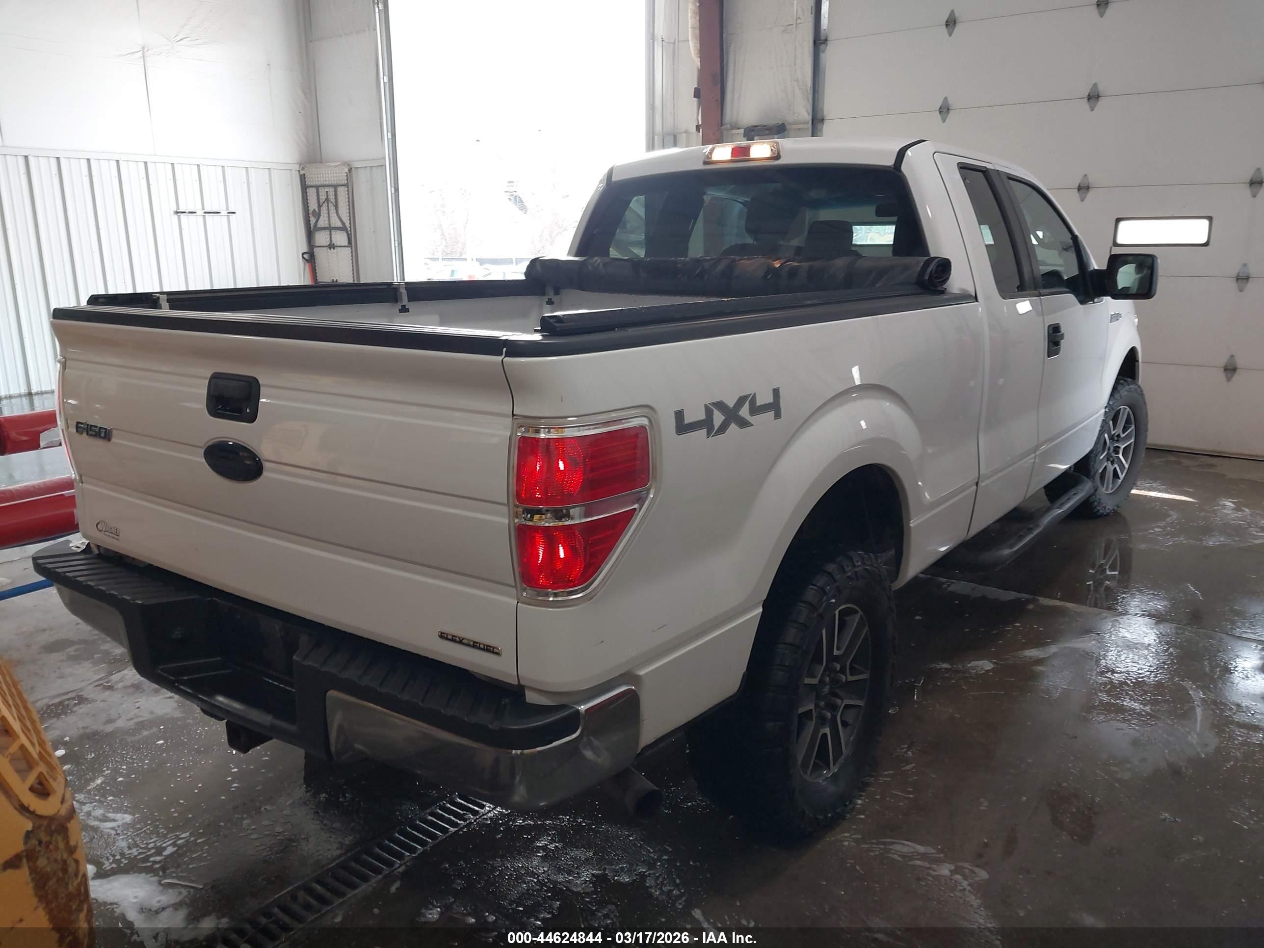 FORD F-150 image 4