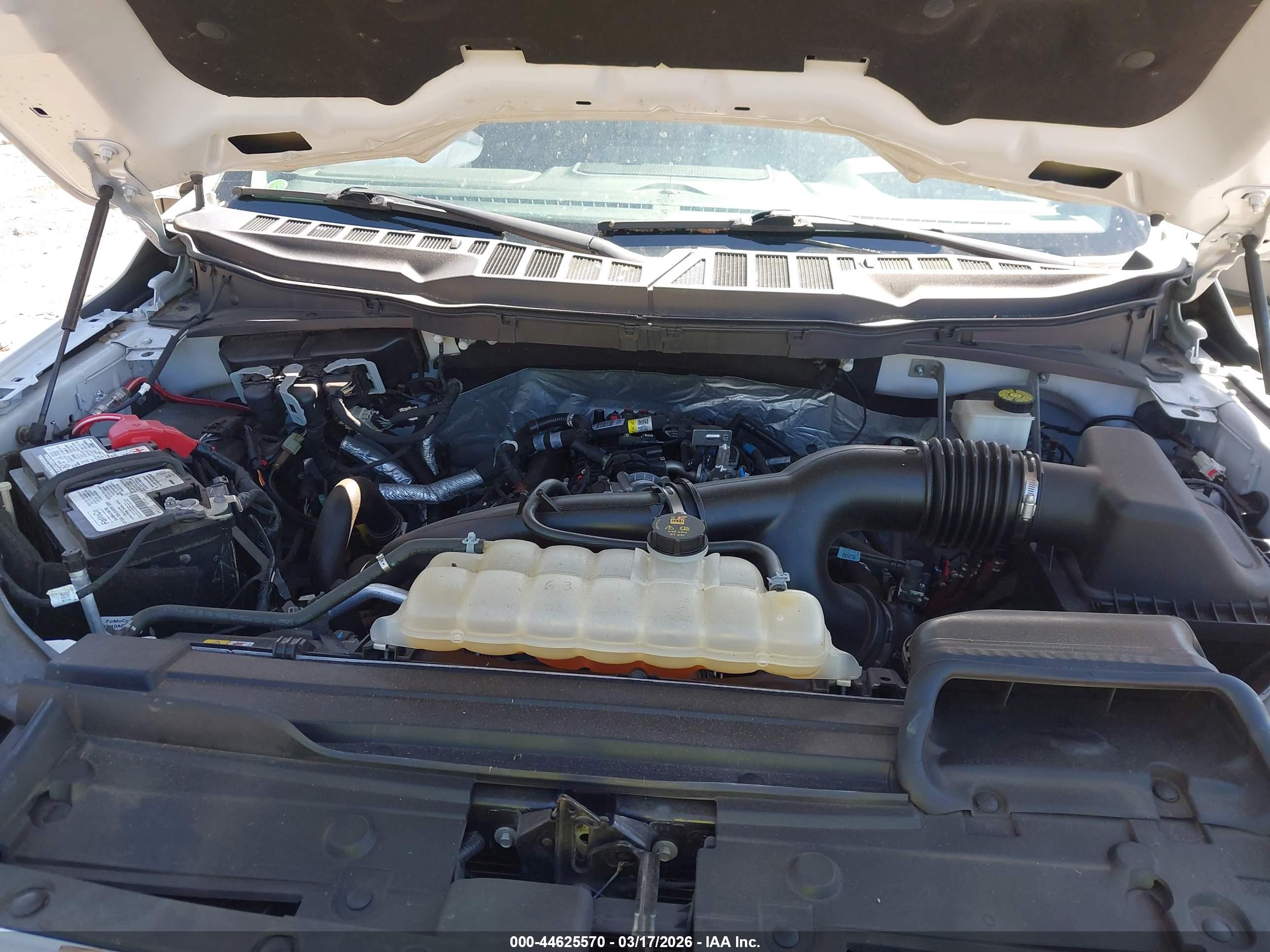 FORD F-150 image 10