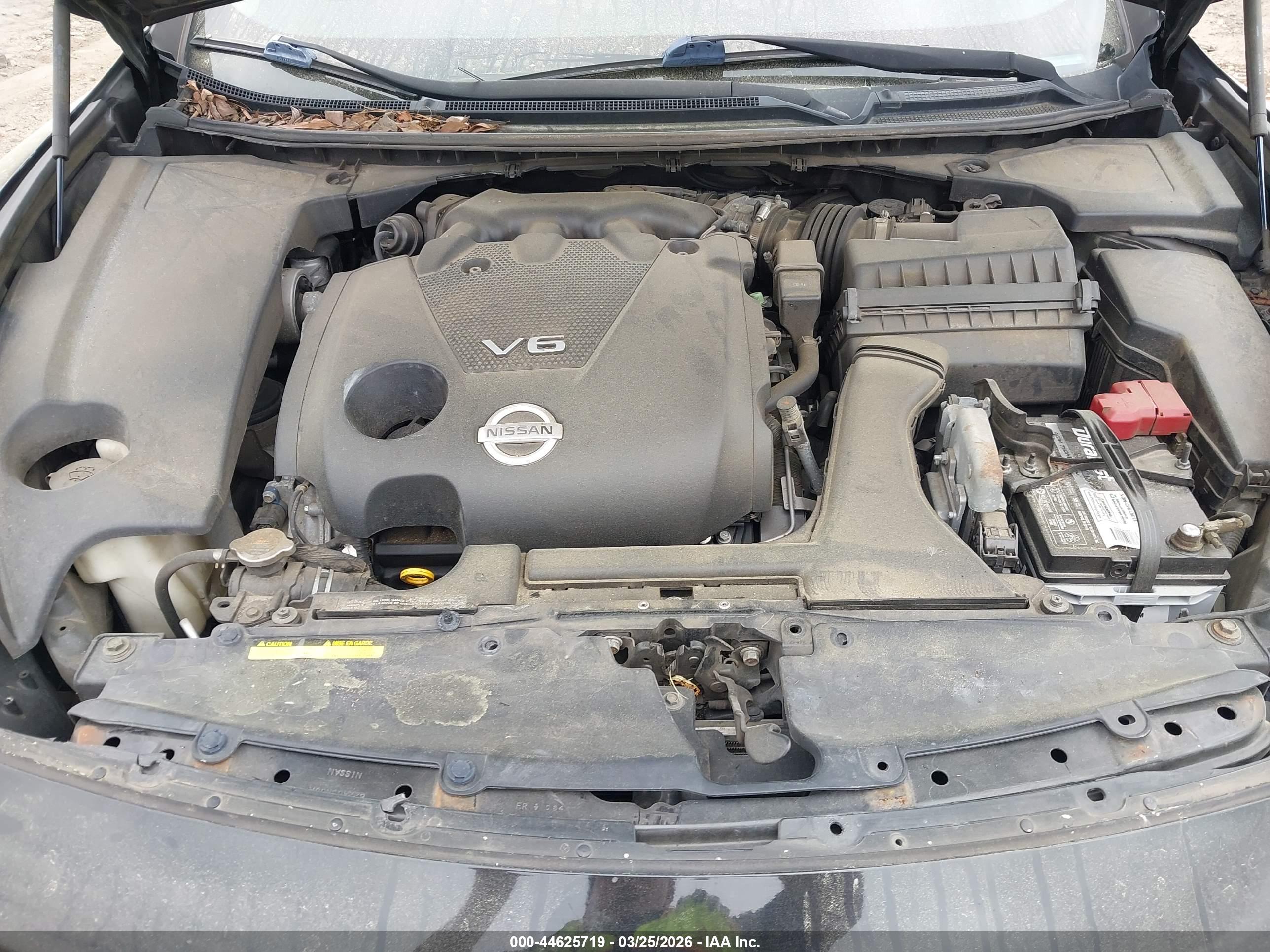 NISSAN MAXIMA image 10