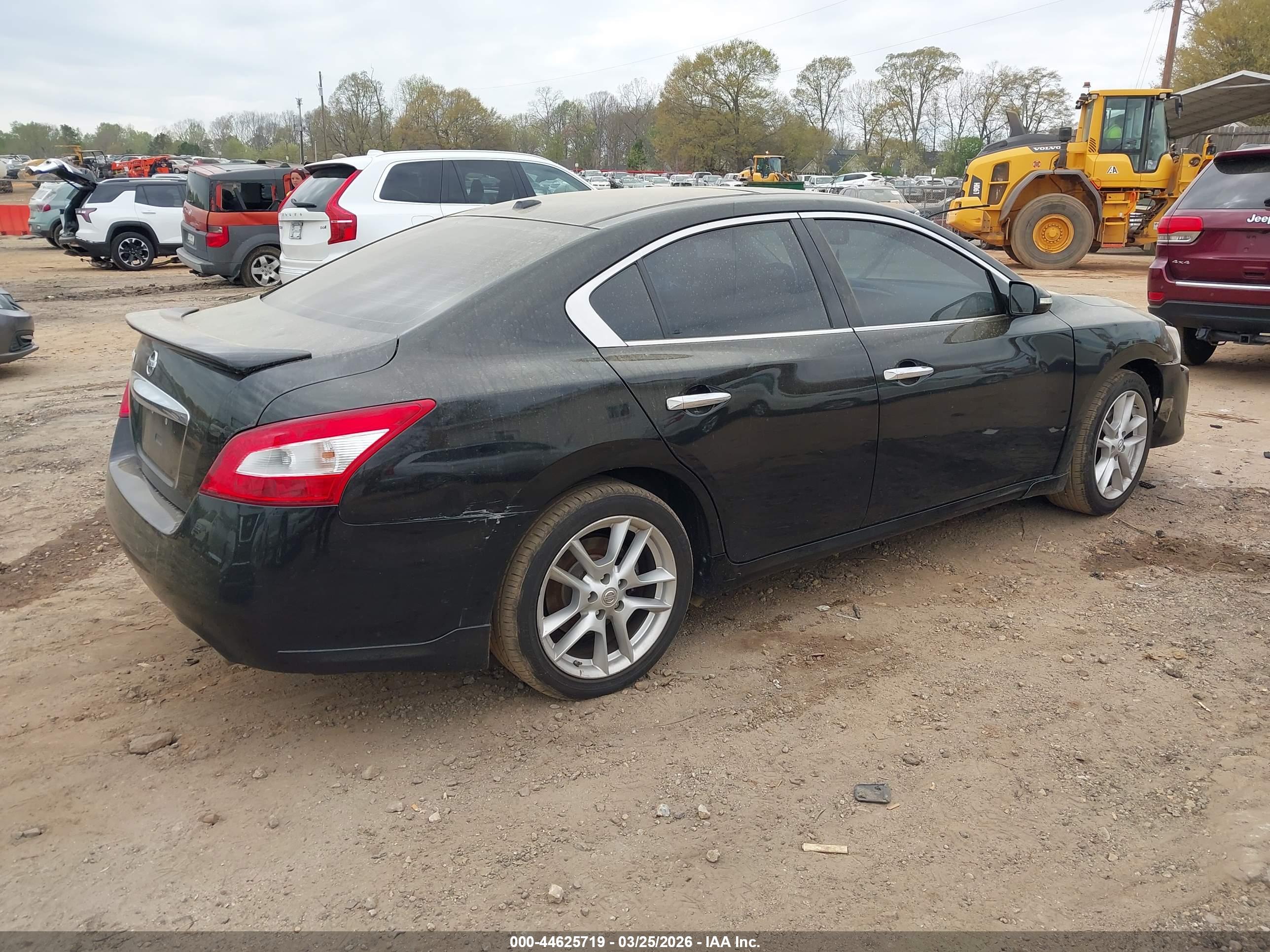 NISSAN MAXIMA image 4