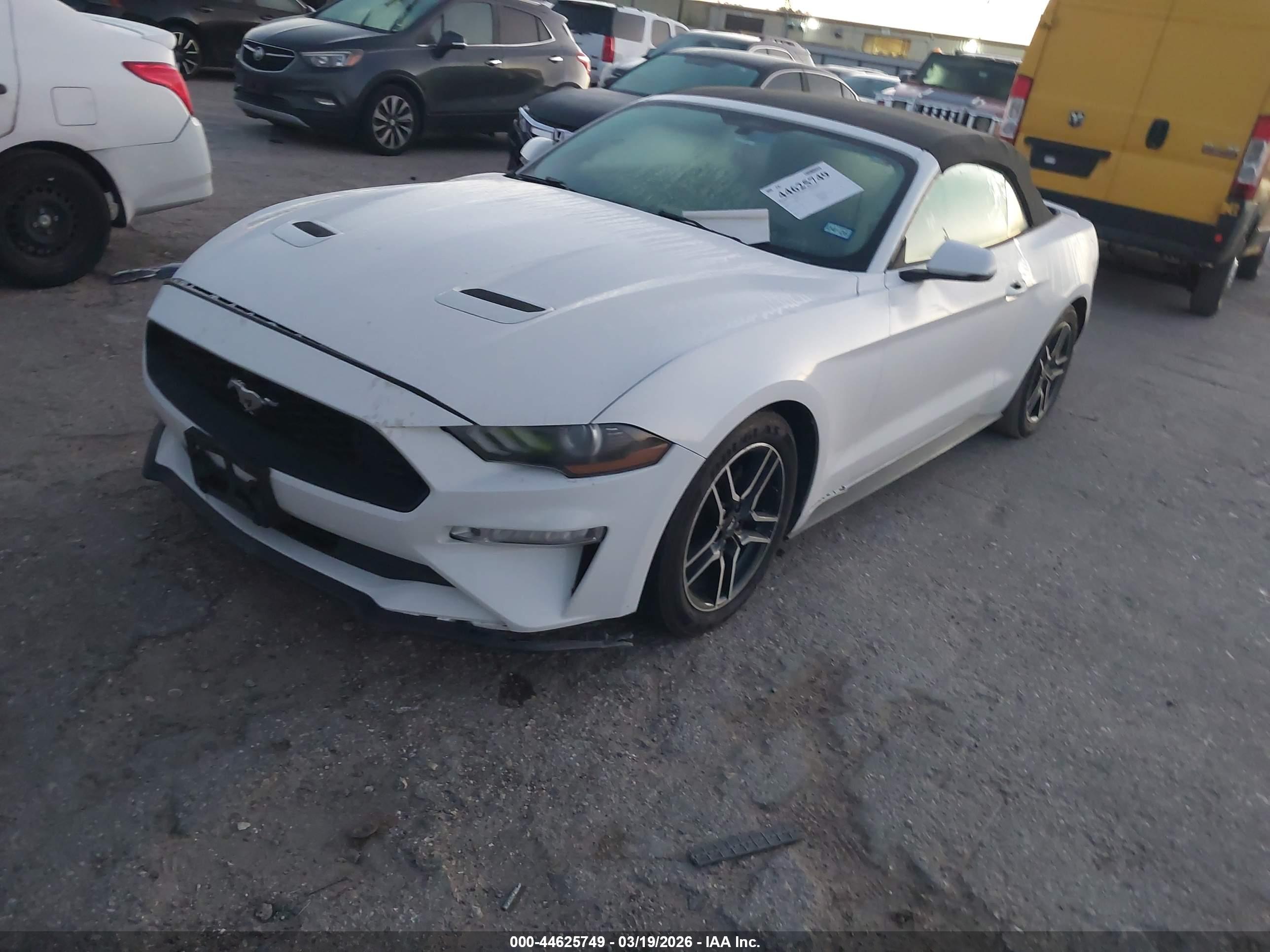 FORD MUSTANG image 2