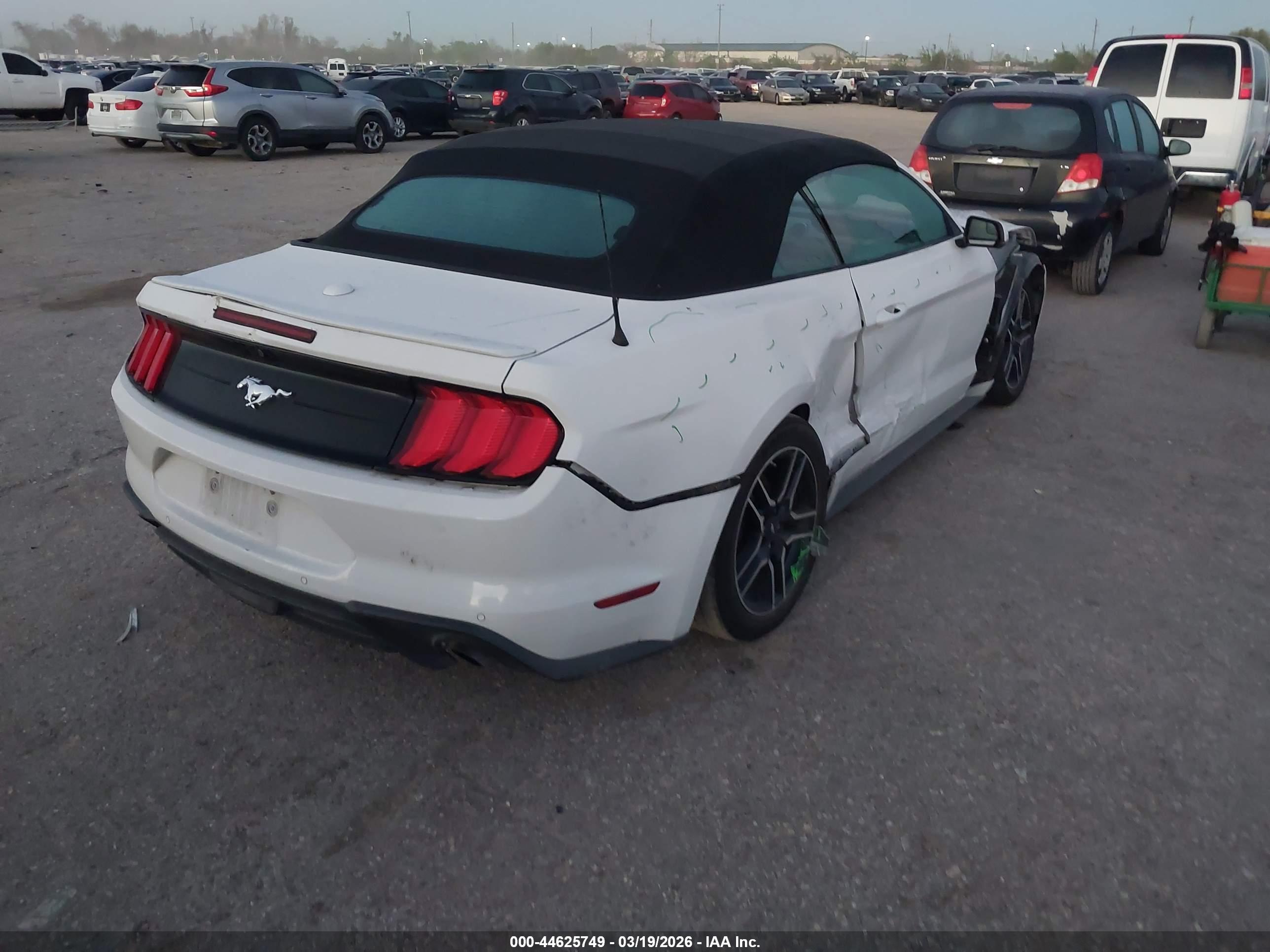 FORD MUSTANG image 4