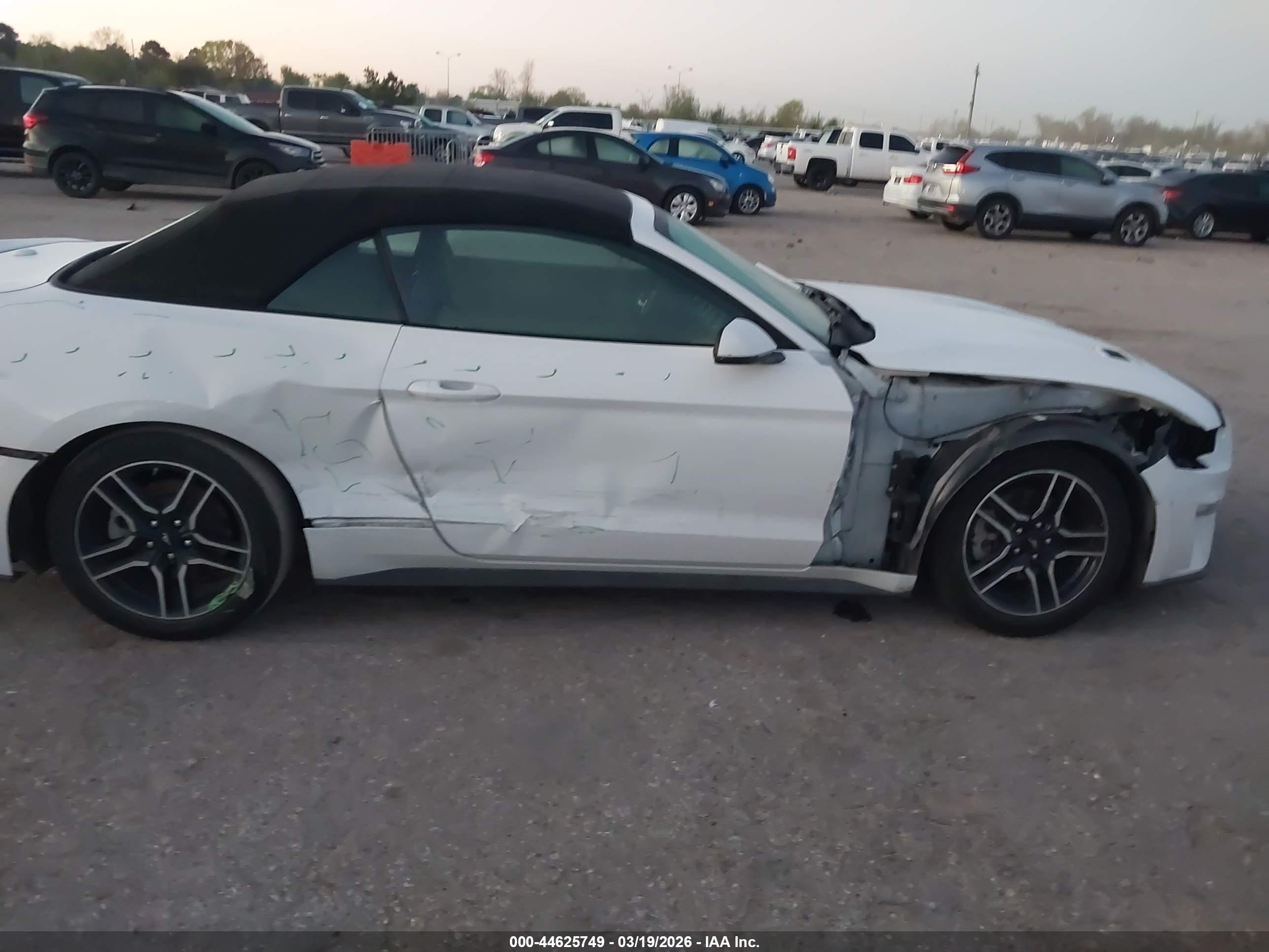 FORD MUSTANG image 6