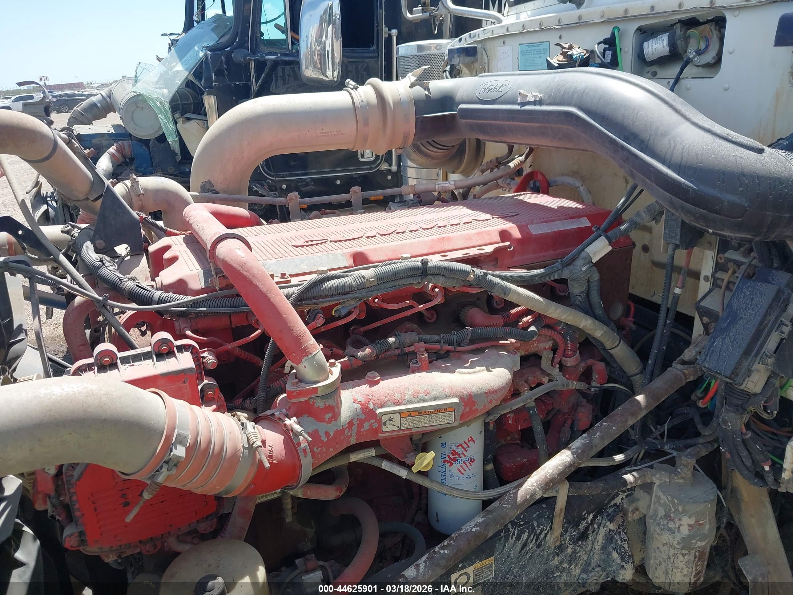 PETERBILT 389 image 10