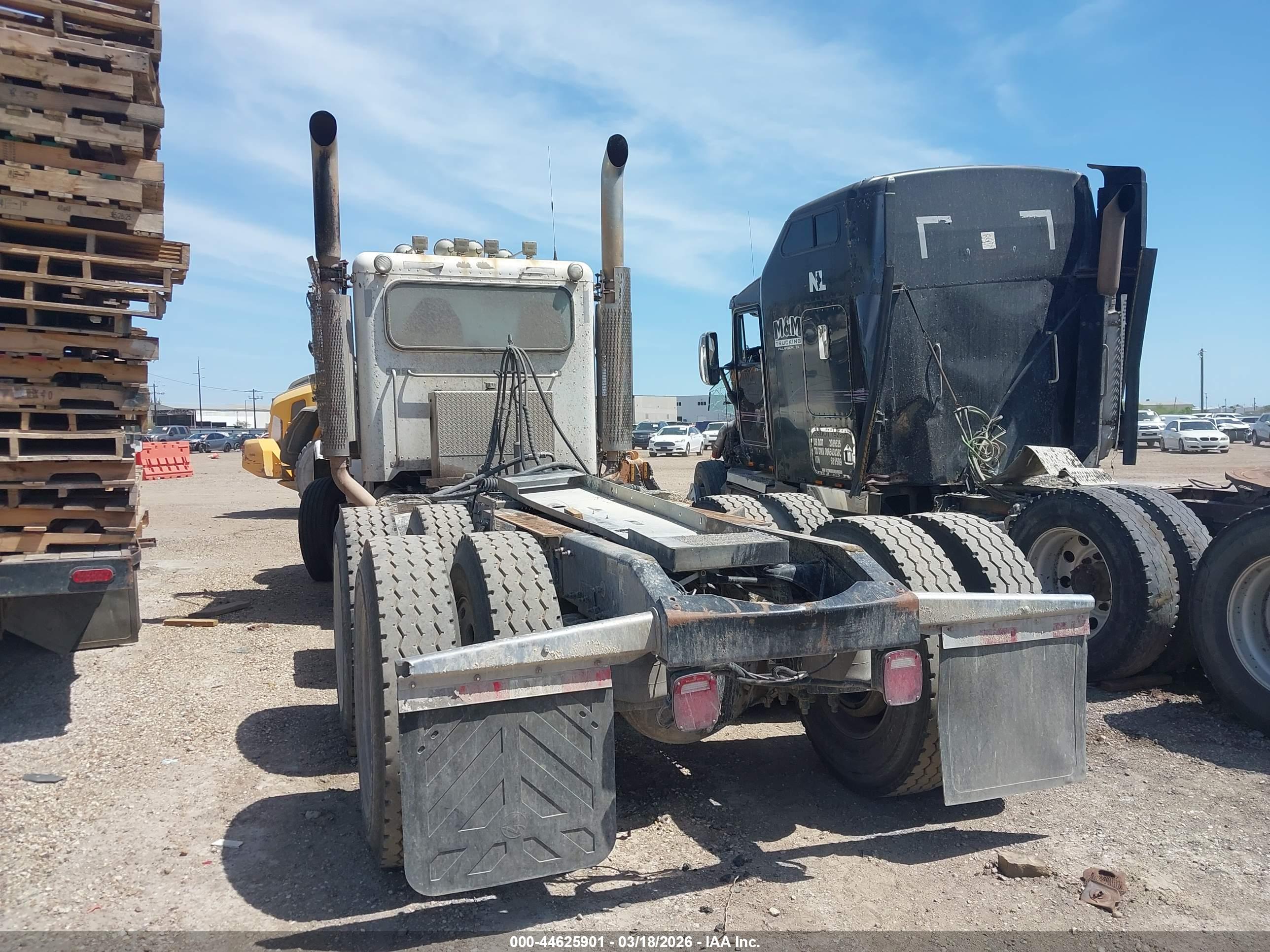 PETERBILT 389 image 3