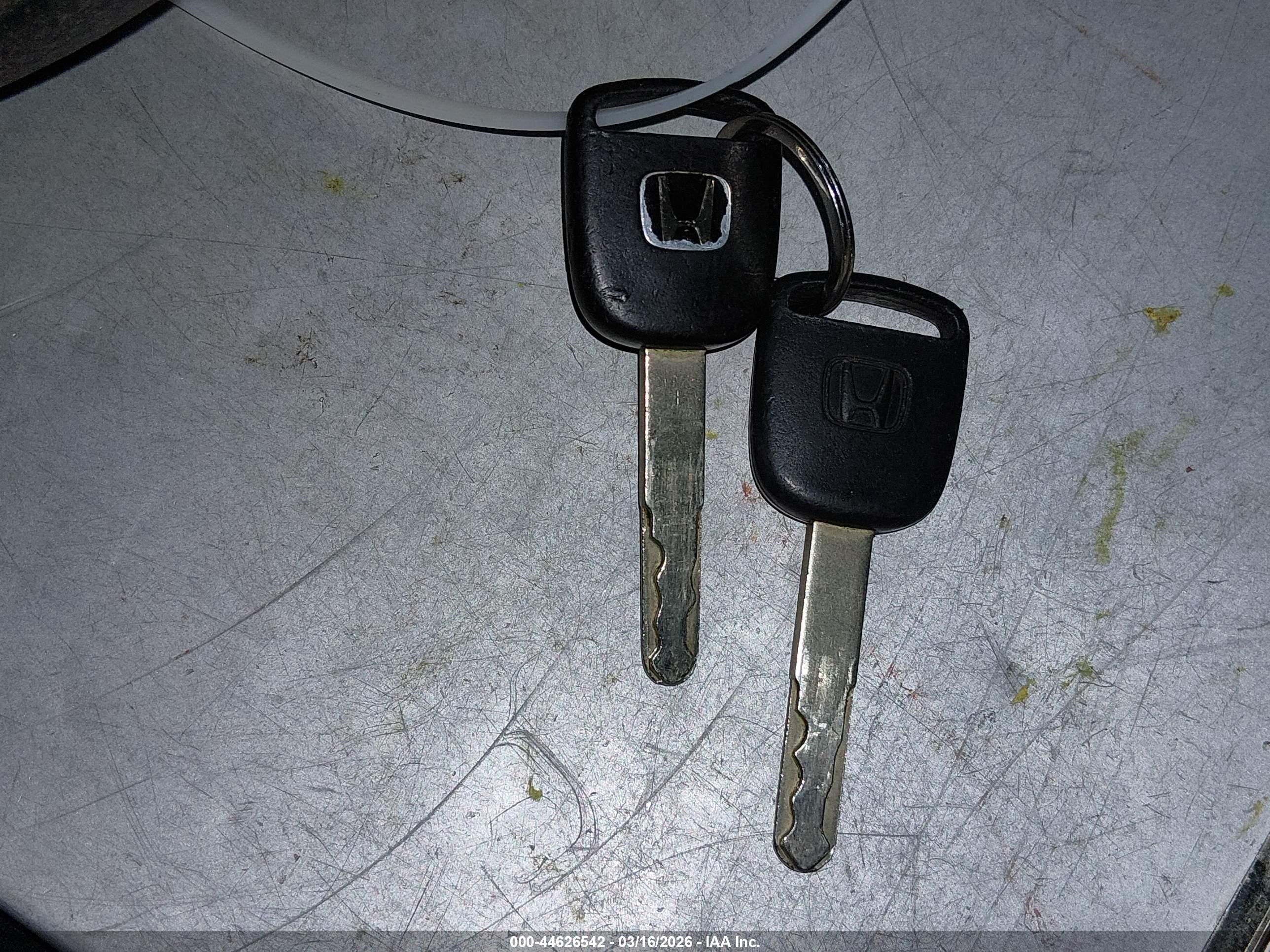 HONDA ELEMENT image 11