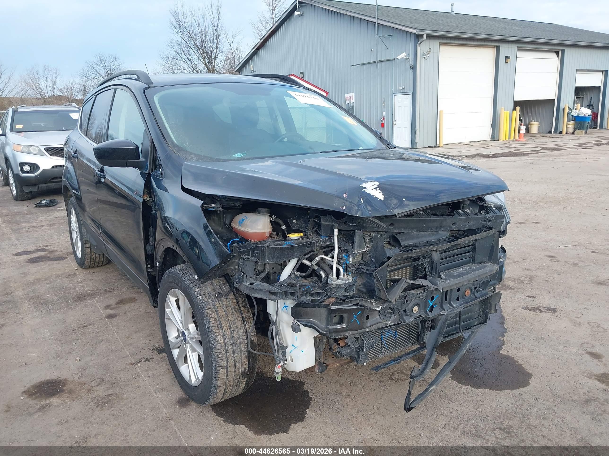 FORD ESCAPE image 6