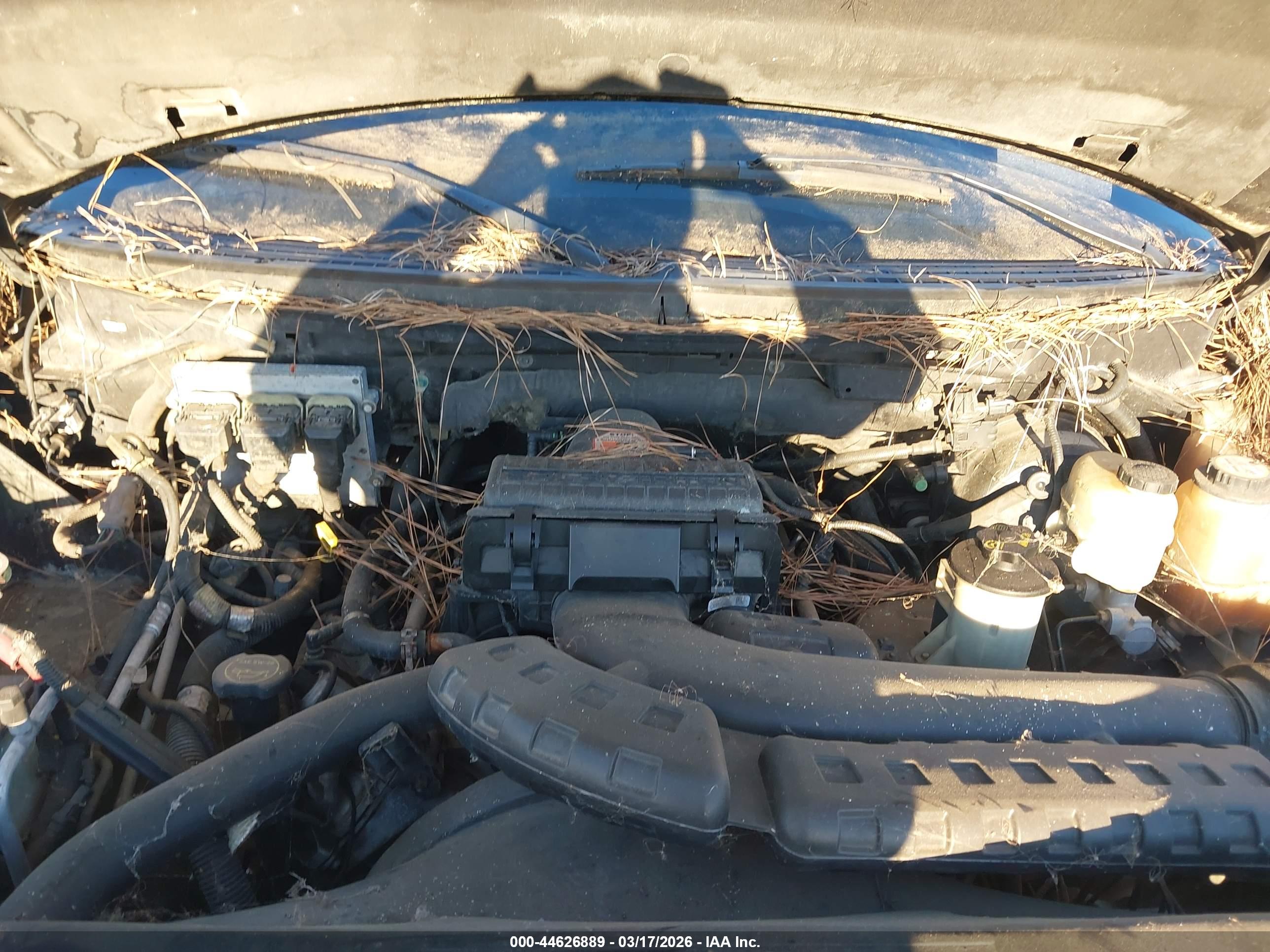 FORD F-150 image 10