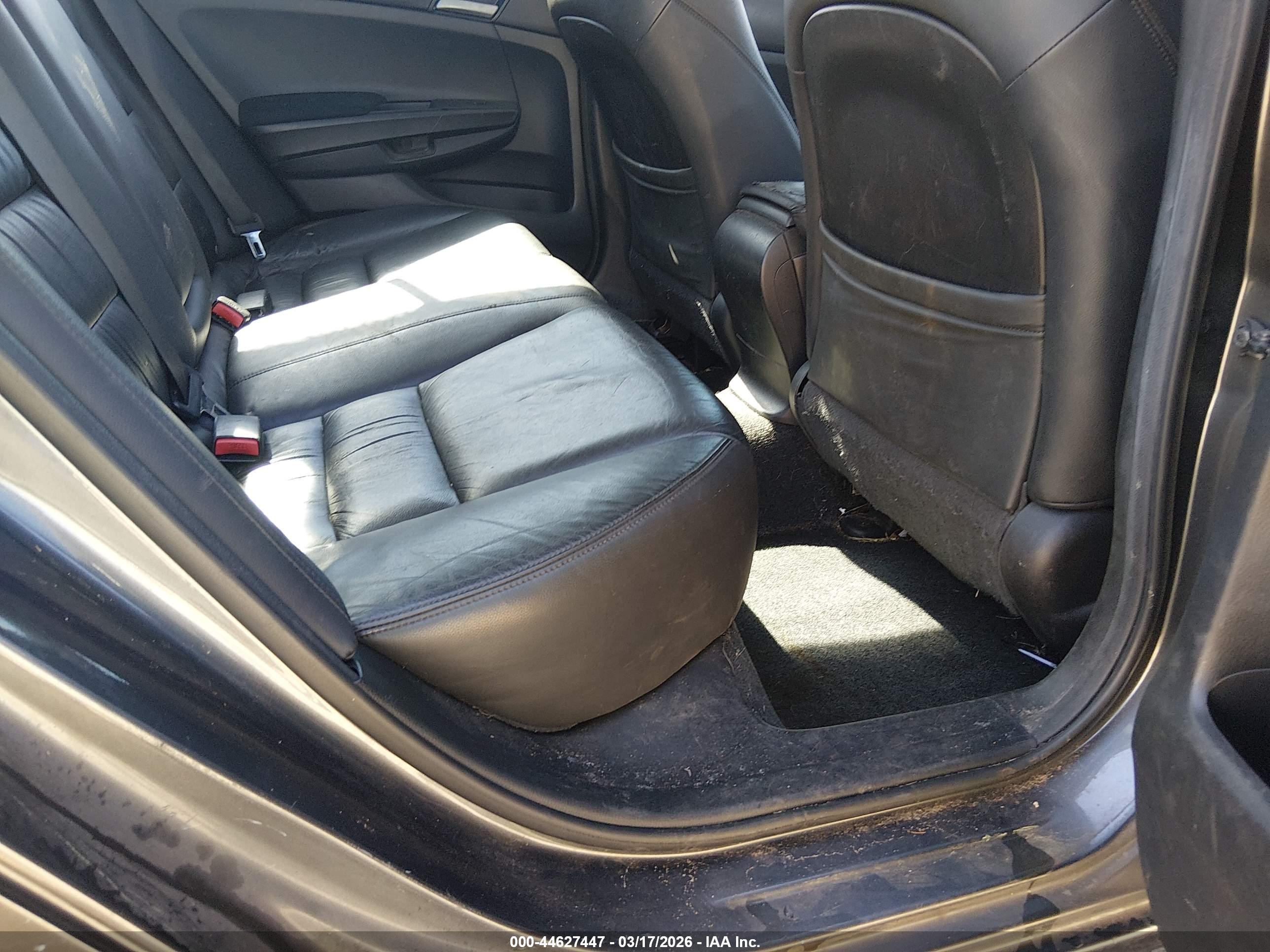 HONDA ACCORD image 8