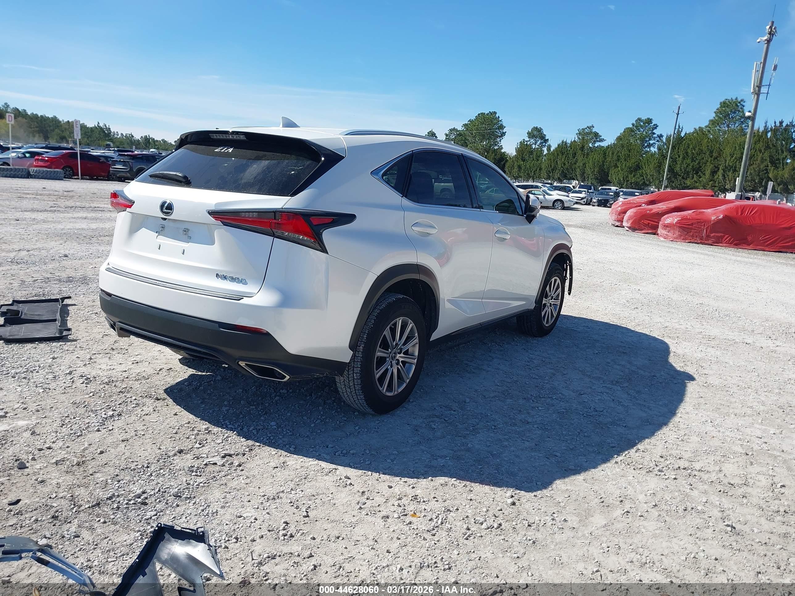 LEXUS NX image 4