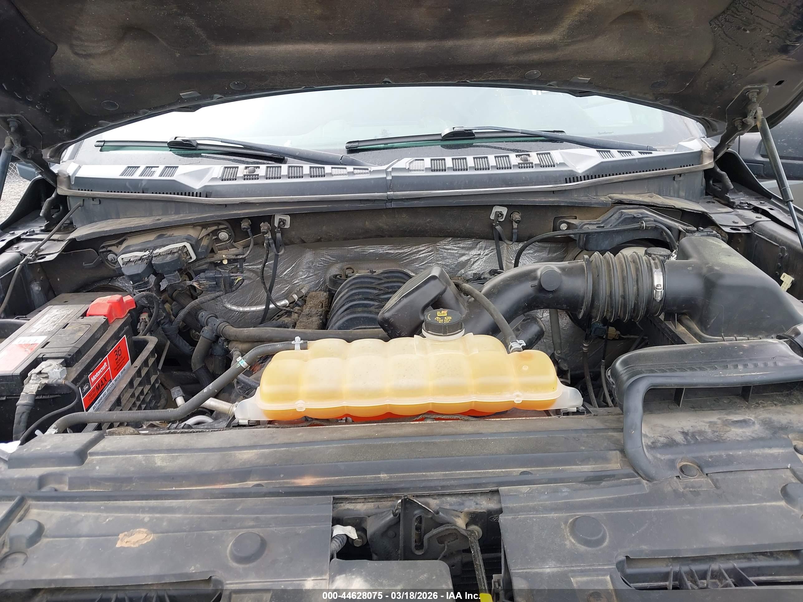 FORD F-150 image 10