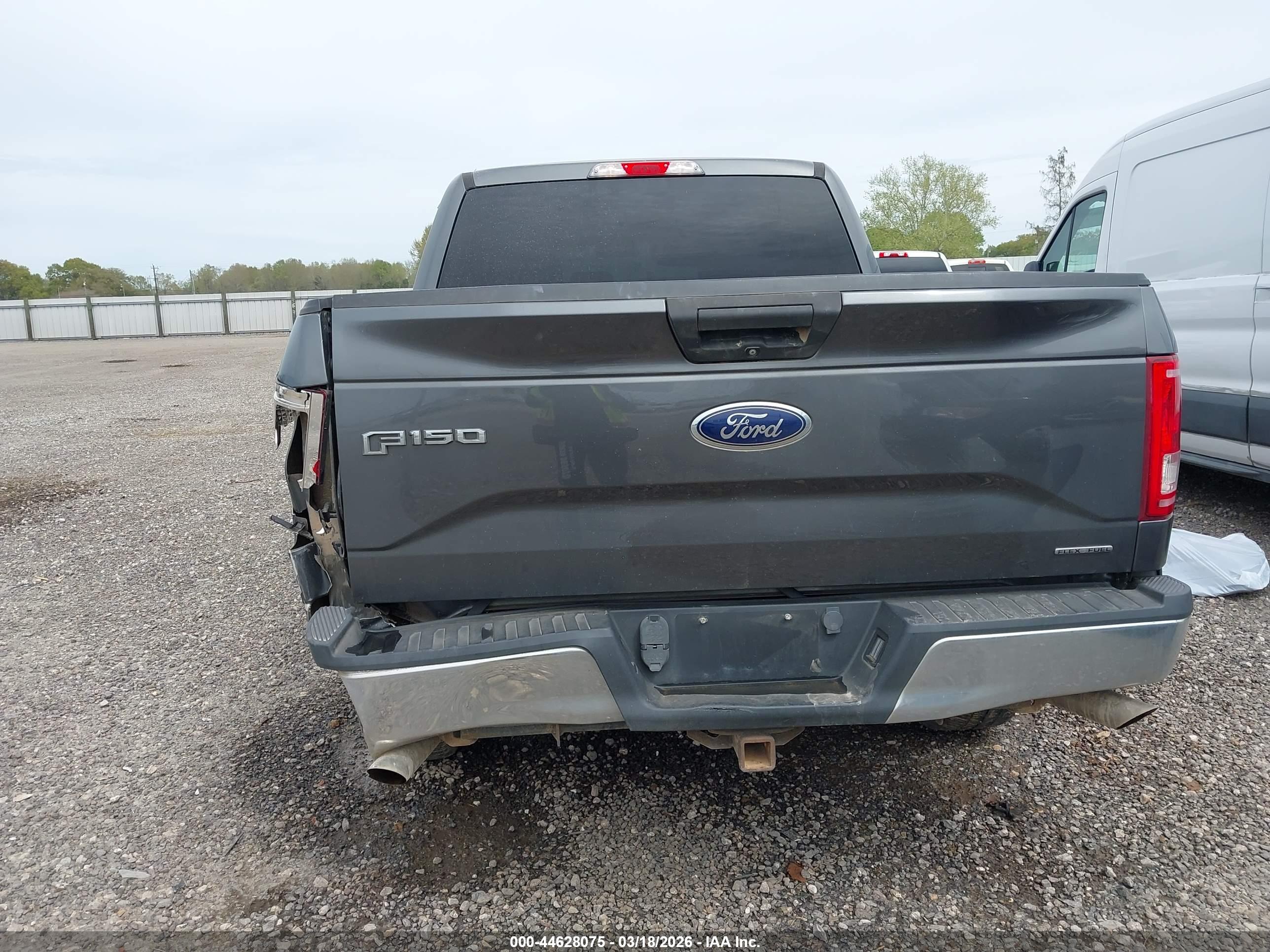 FORD F-150 image 6