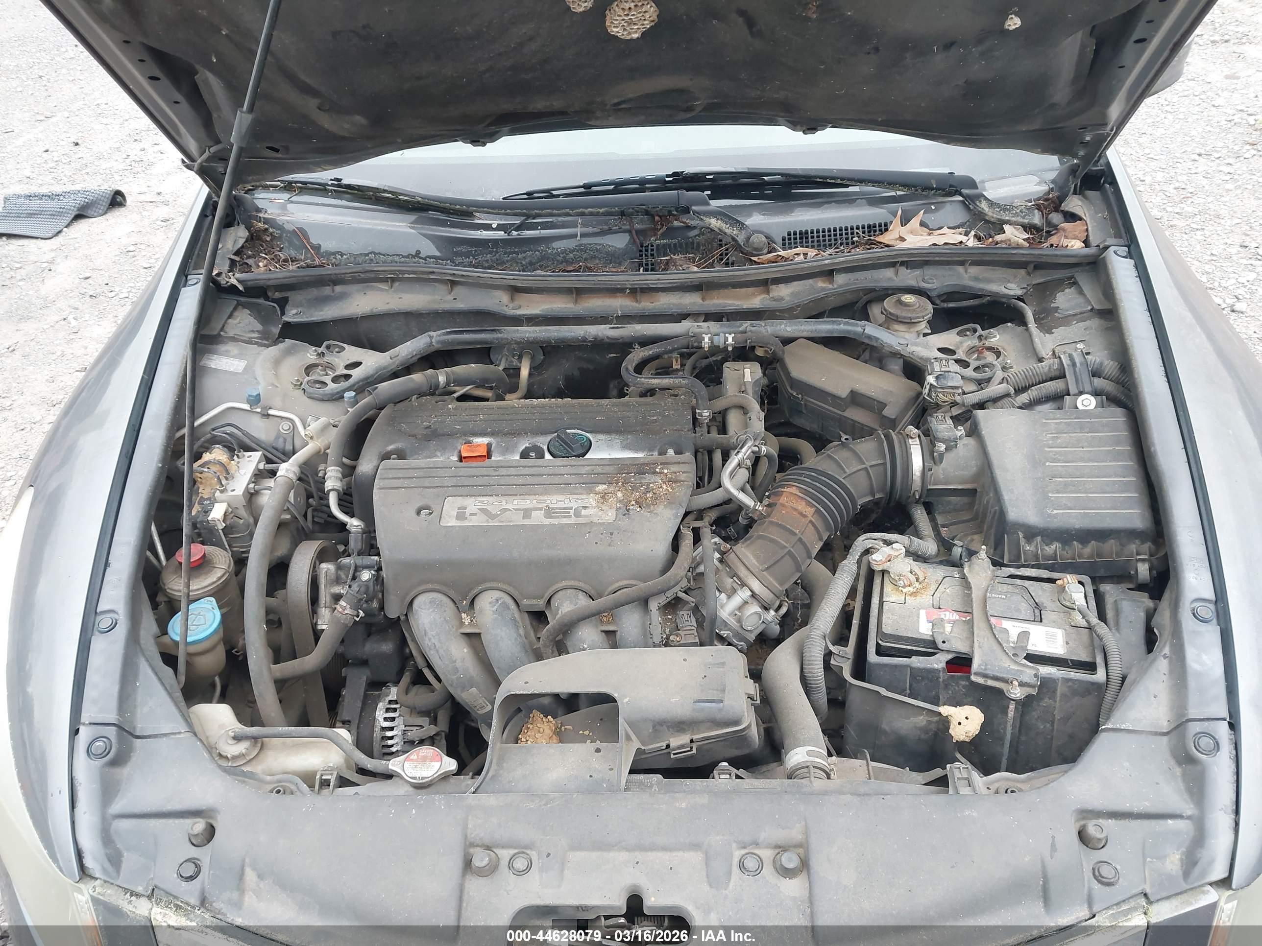 HONDA ACCORD image 10