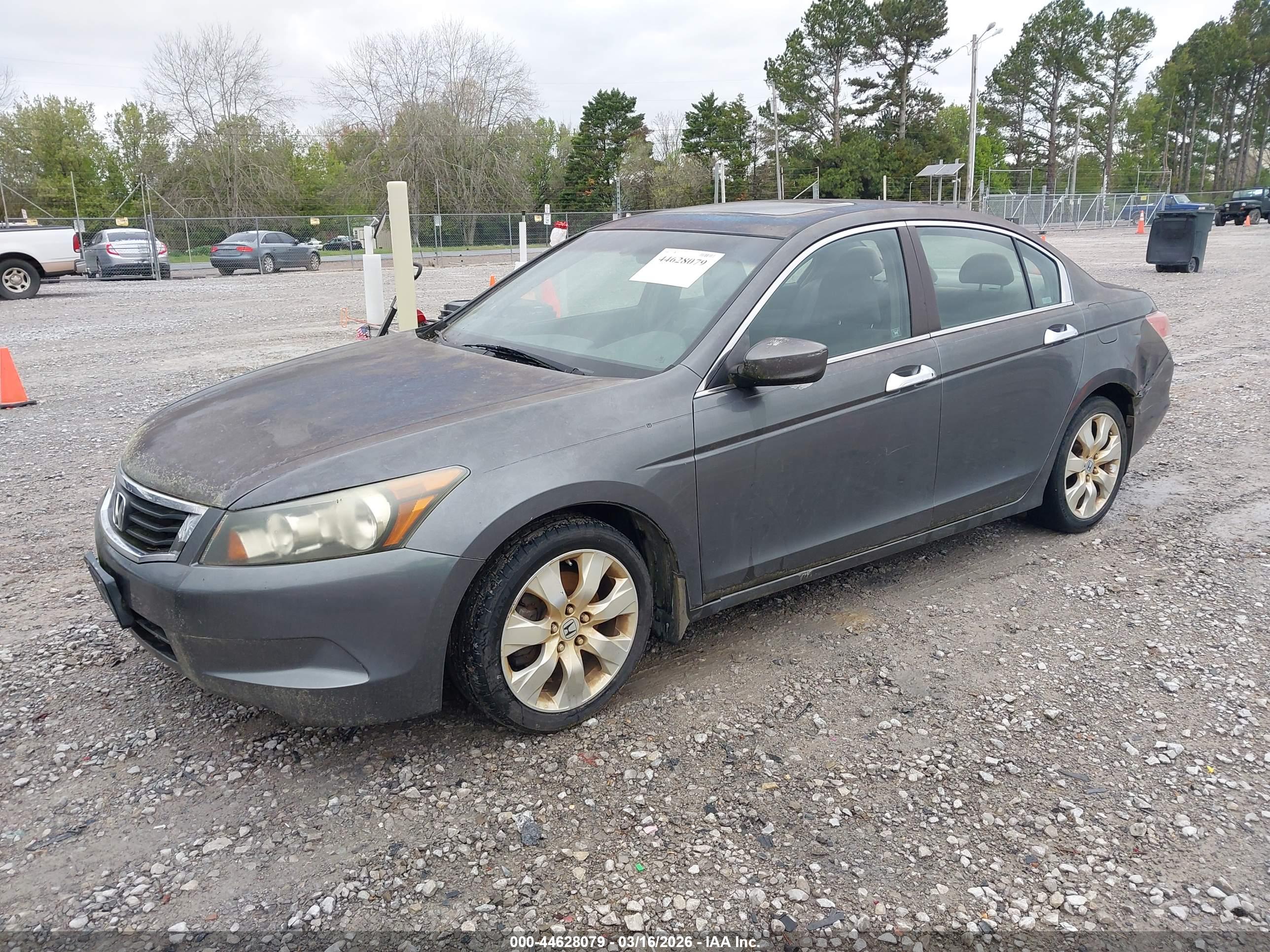 HONDA ACCORD image 2