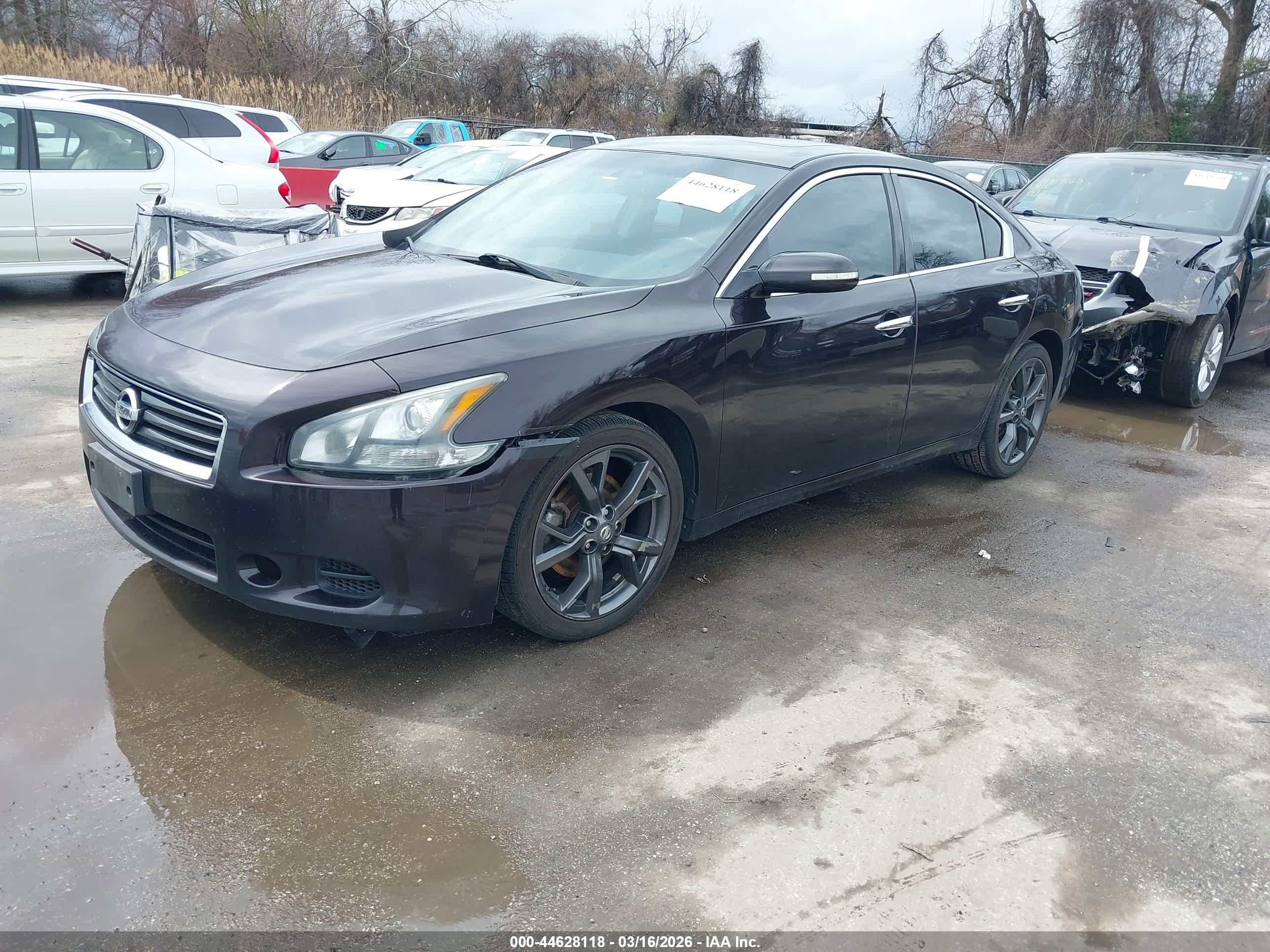 NISSAN MAXIMA image 2