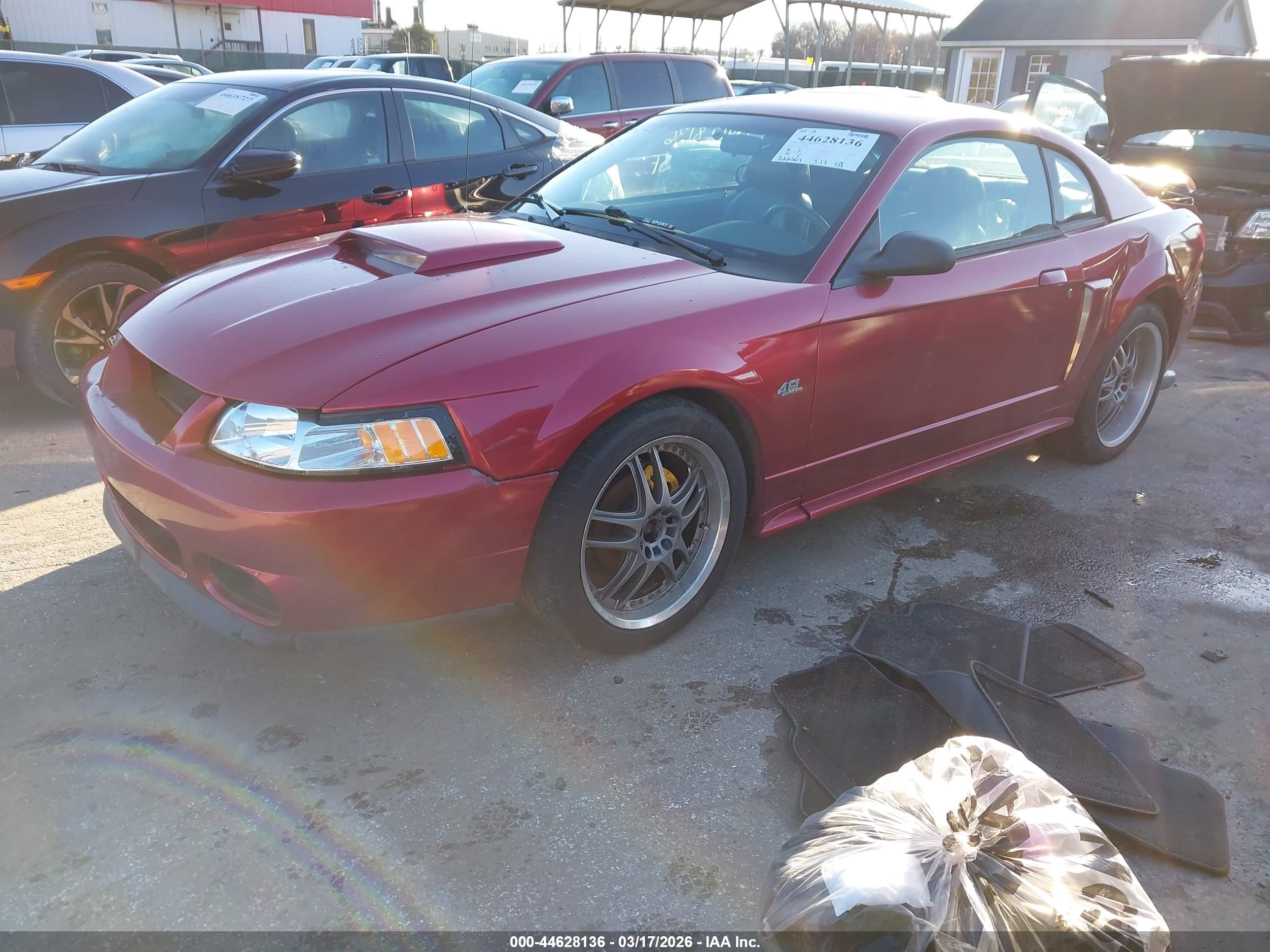 FORD MUSTANG image 2
