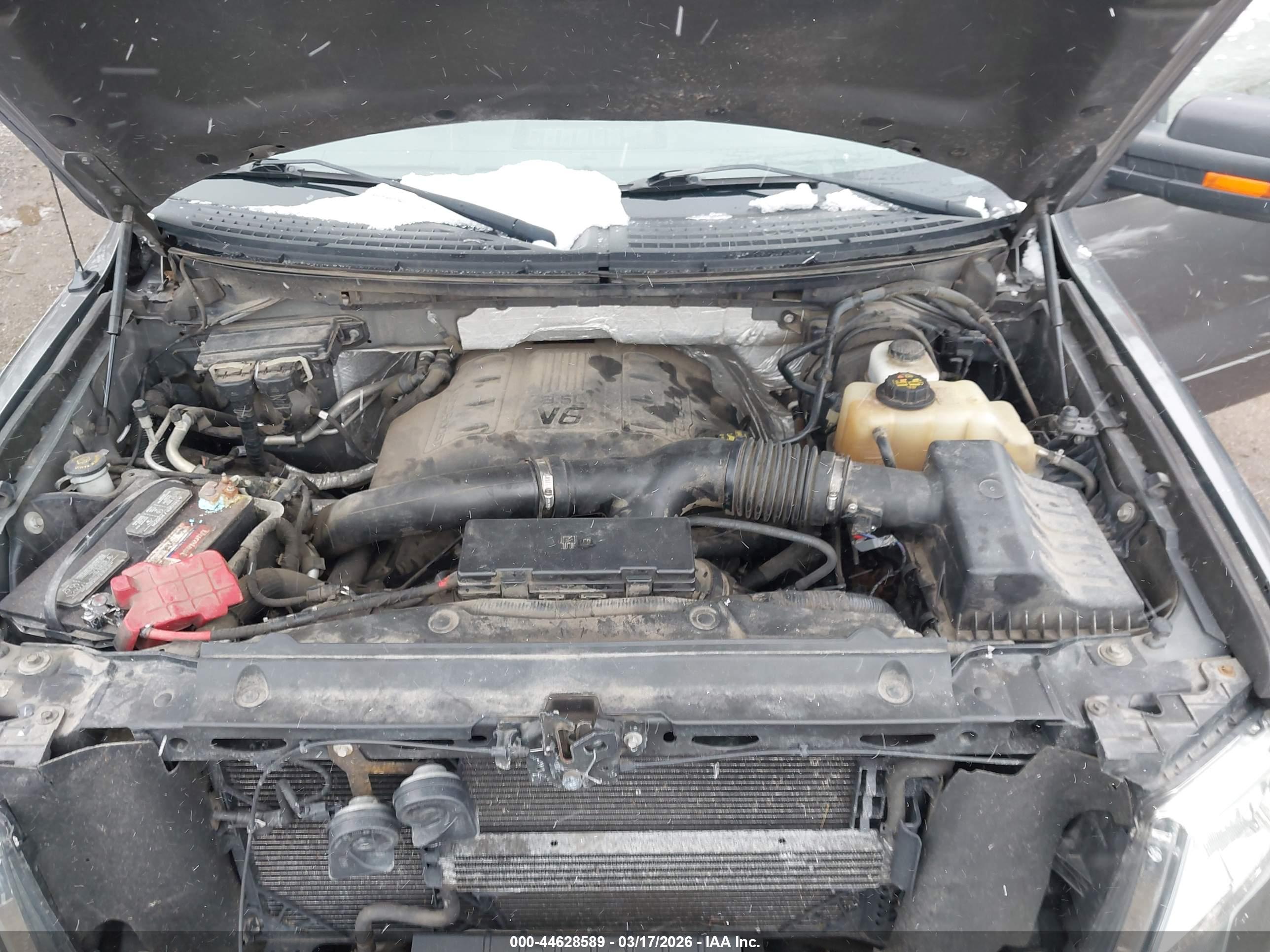 FORD F-150 image 10