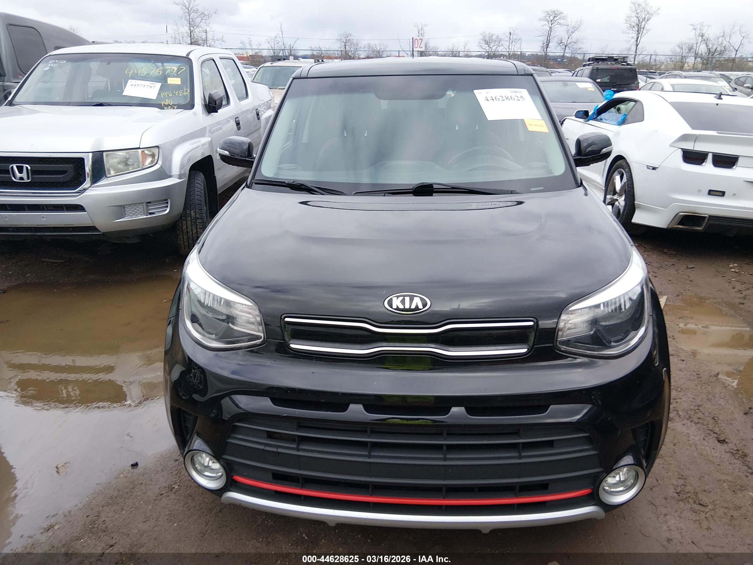 KIA SOUL image 6