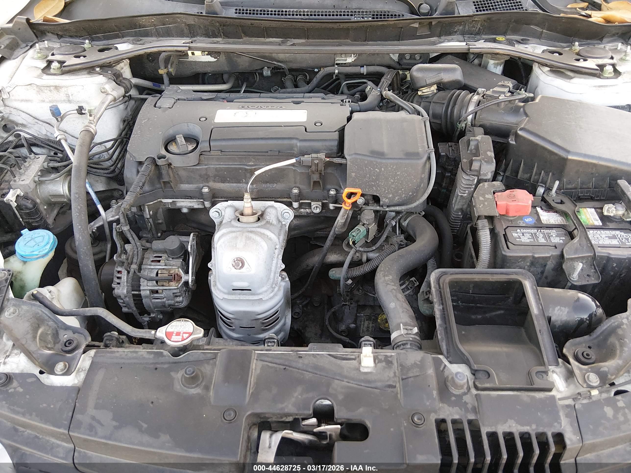 HONDA ACCORD image 10
