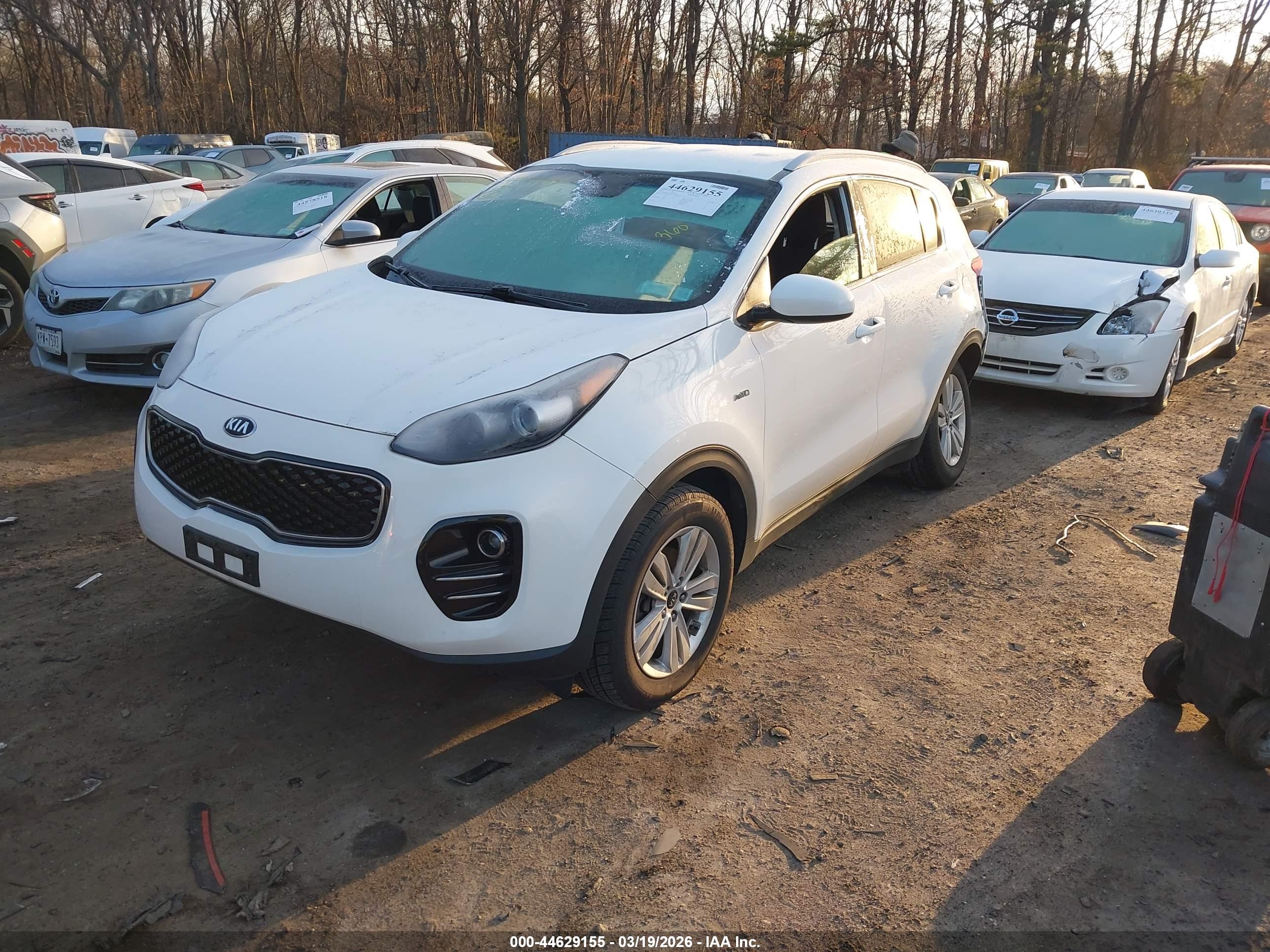 KIA SPORTAGE image 2