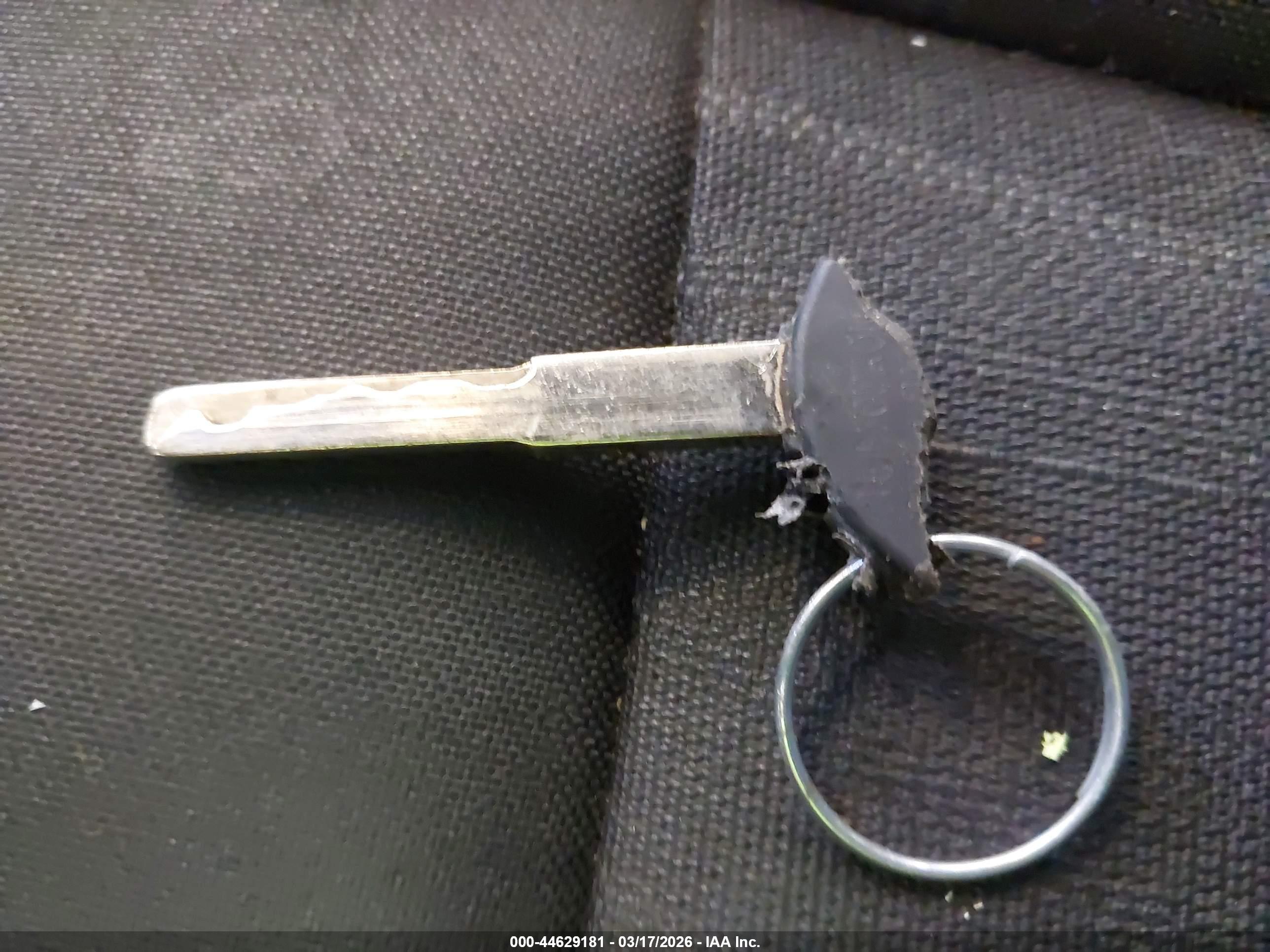 FORD FOCUS image 11