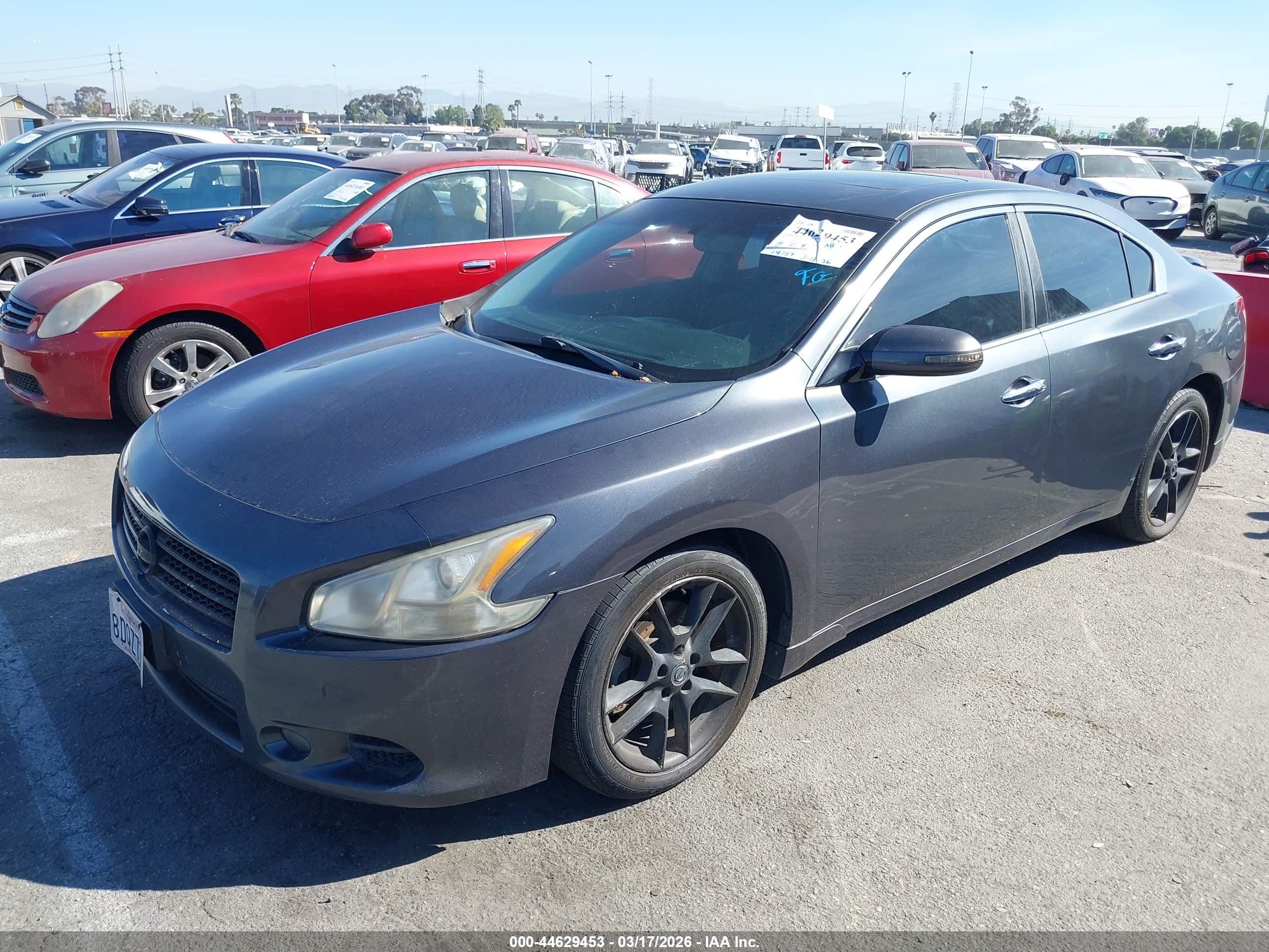 NISSAN MAXIMA image 2