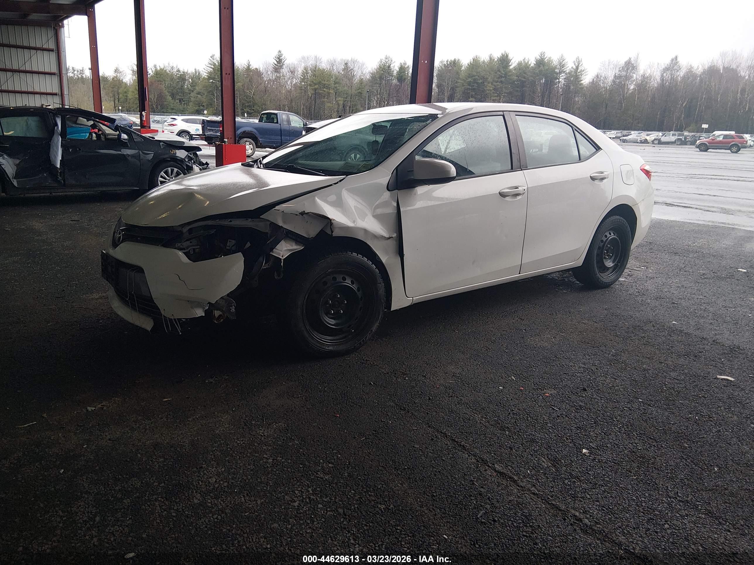 TOYOTA COROLLA image 2