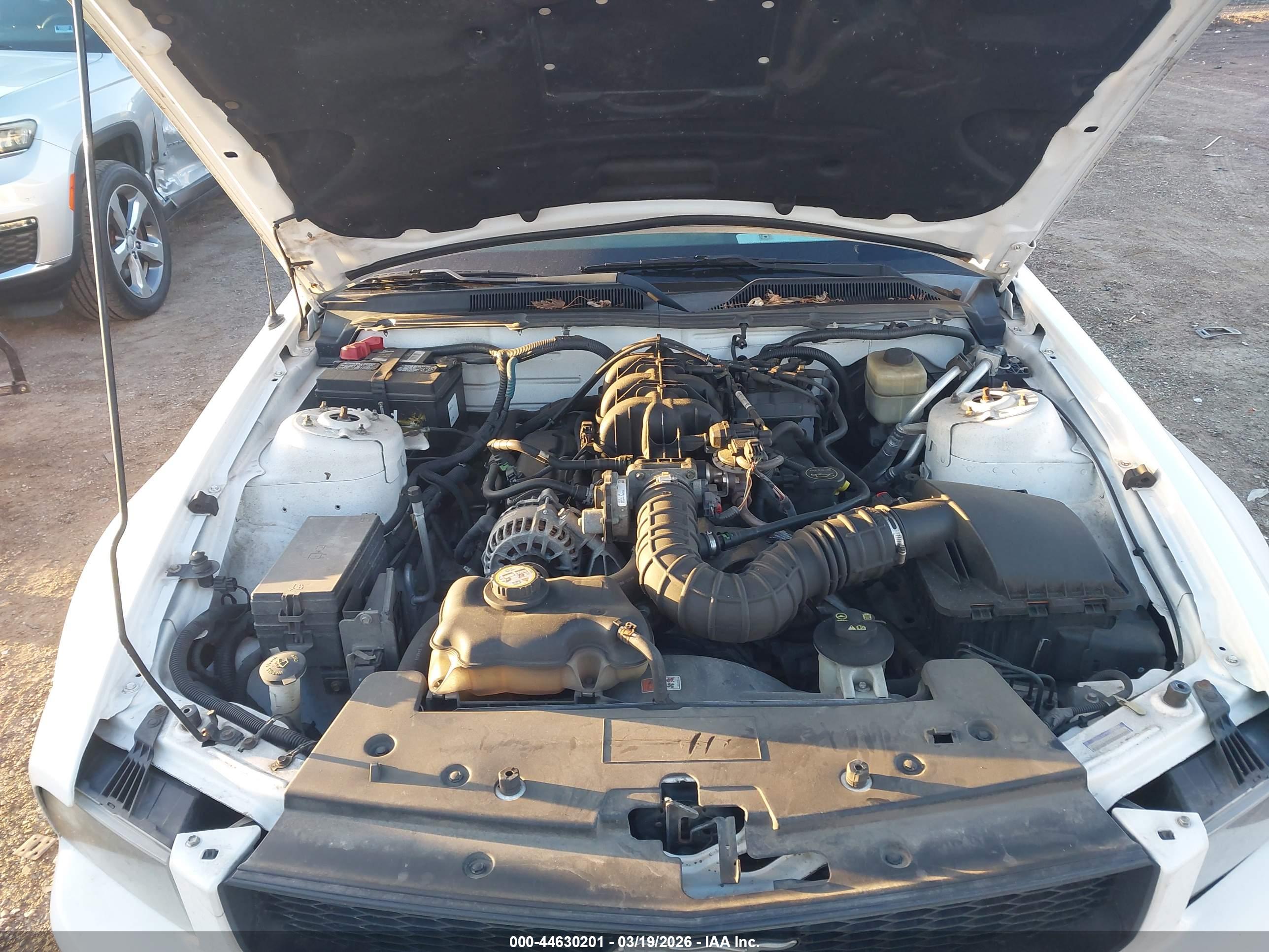 FORD MUSTANG image 10