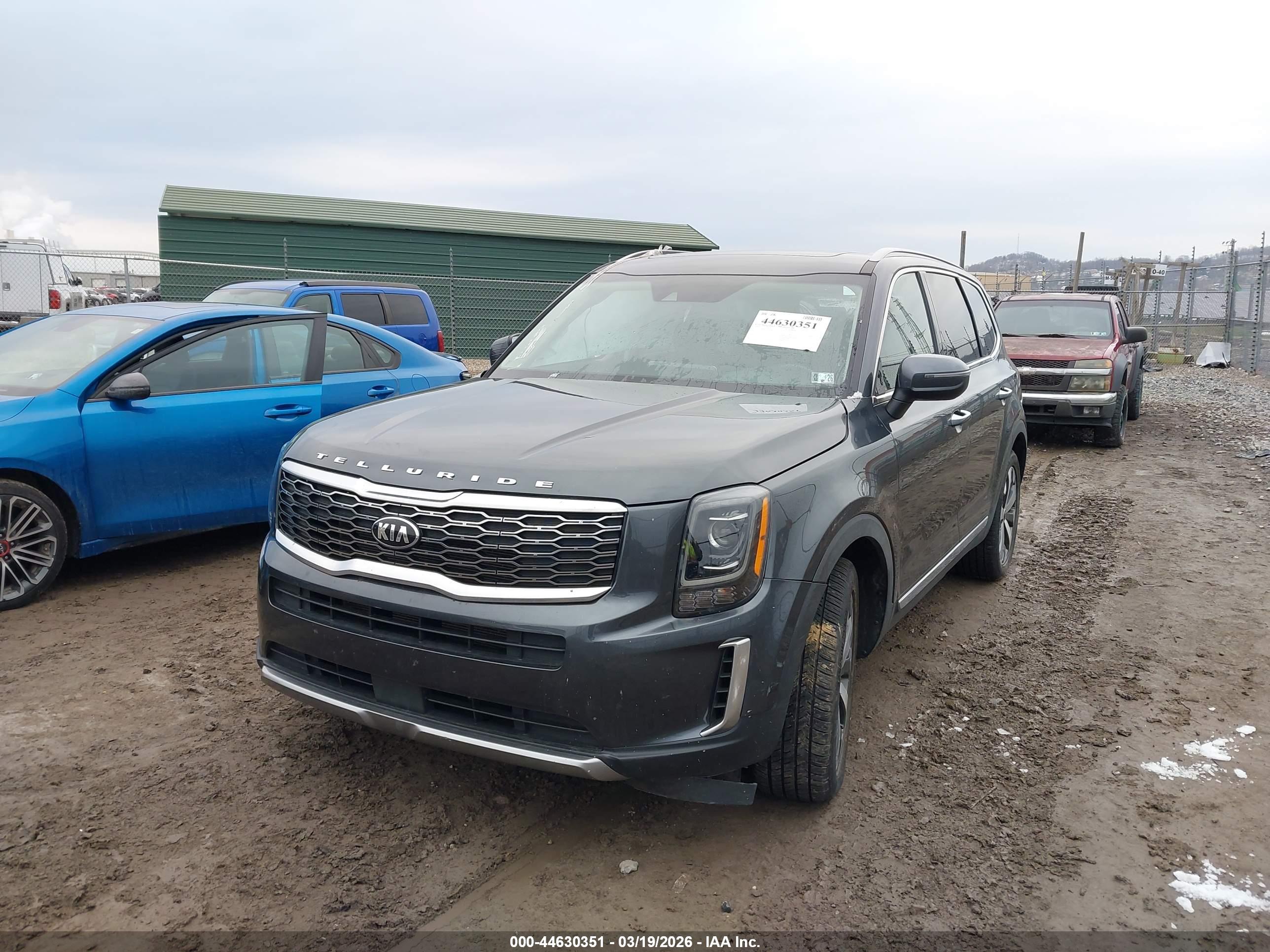 KIA TELLURIDE image 2