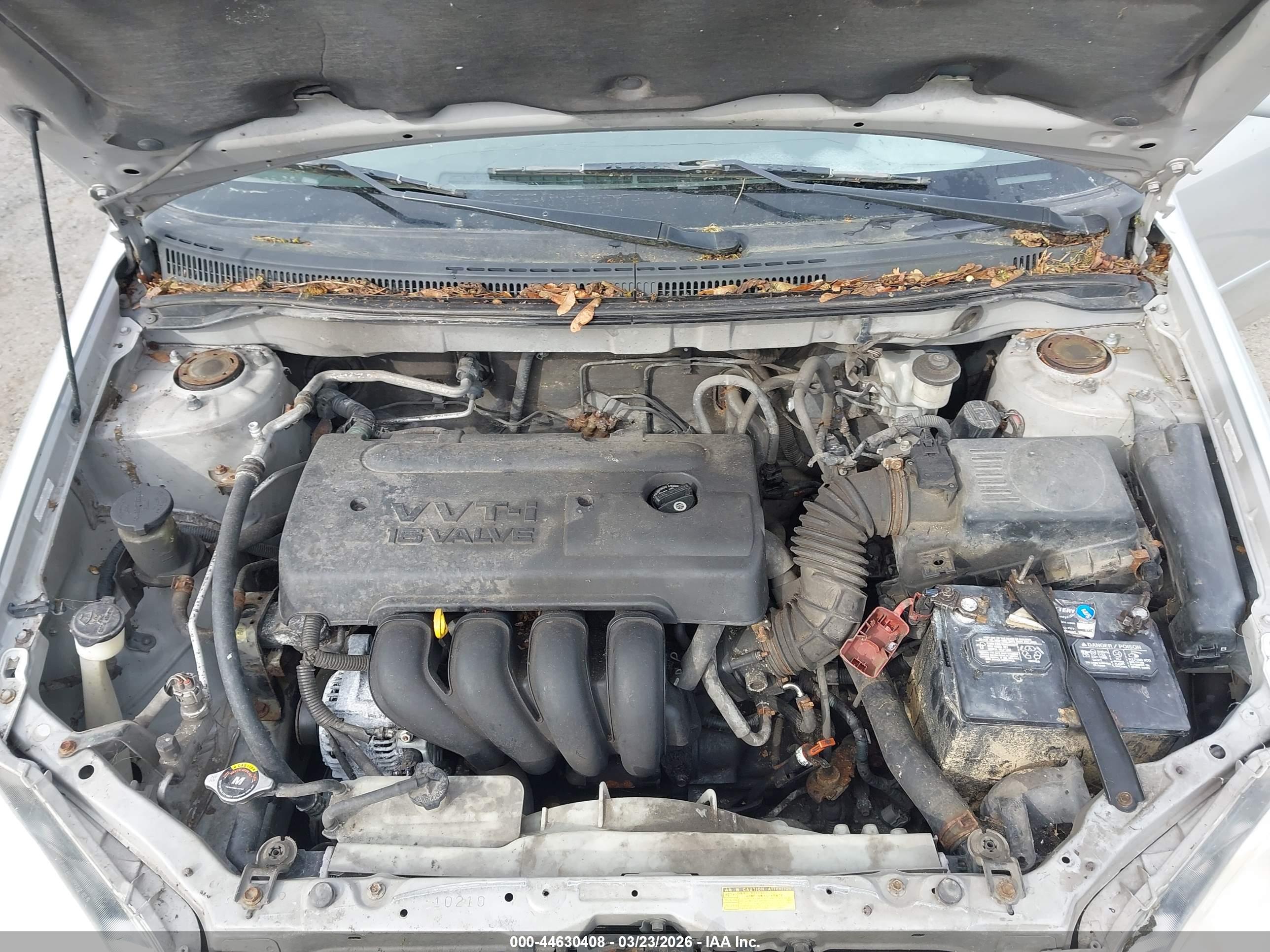 TOYOTA COROLLA image 10