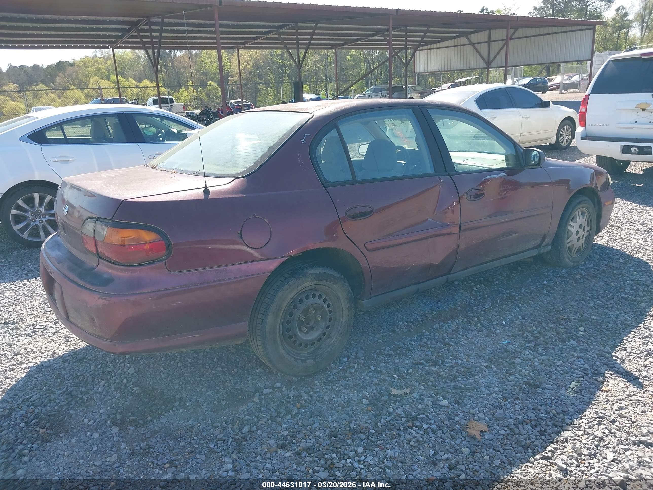 CHEVROLET MALIBU image 4