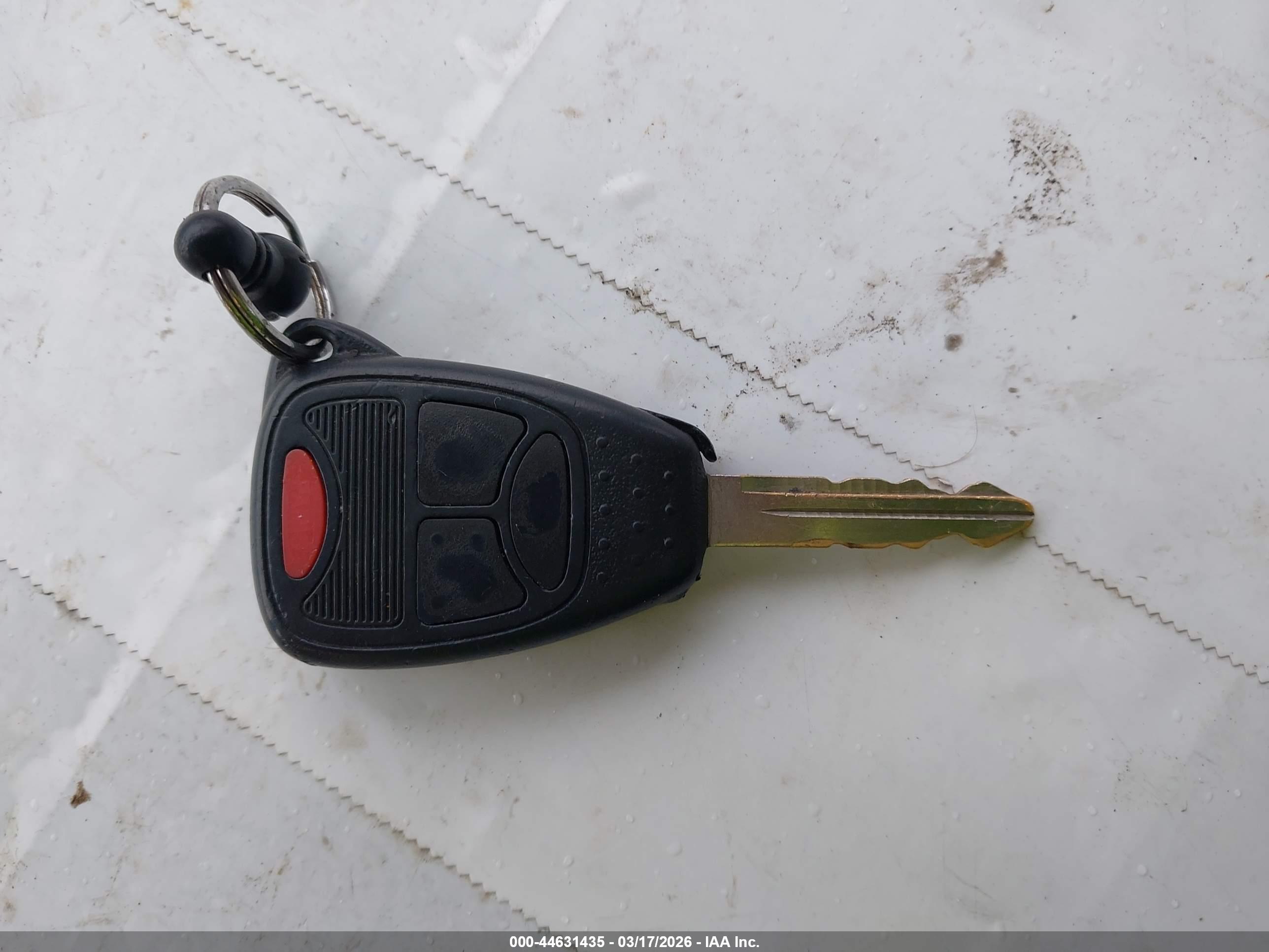 JEEP WRANGLER image 11