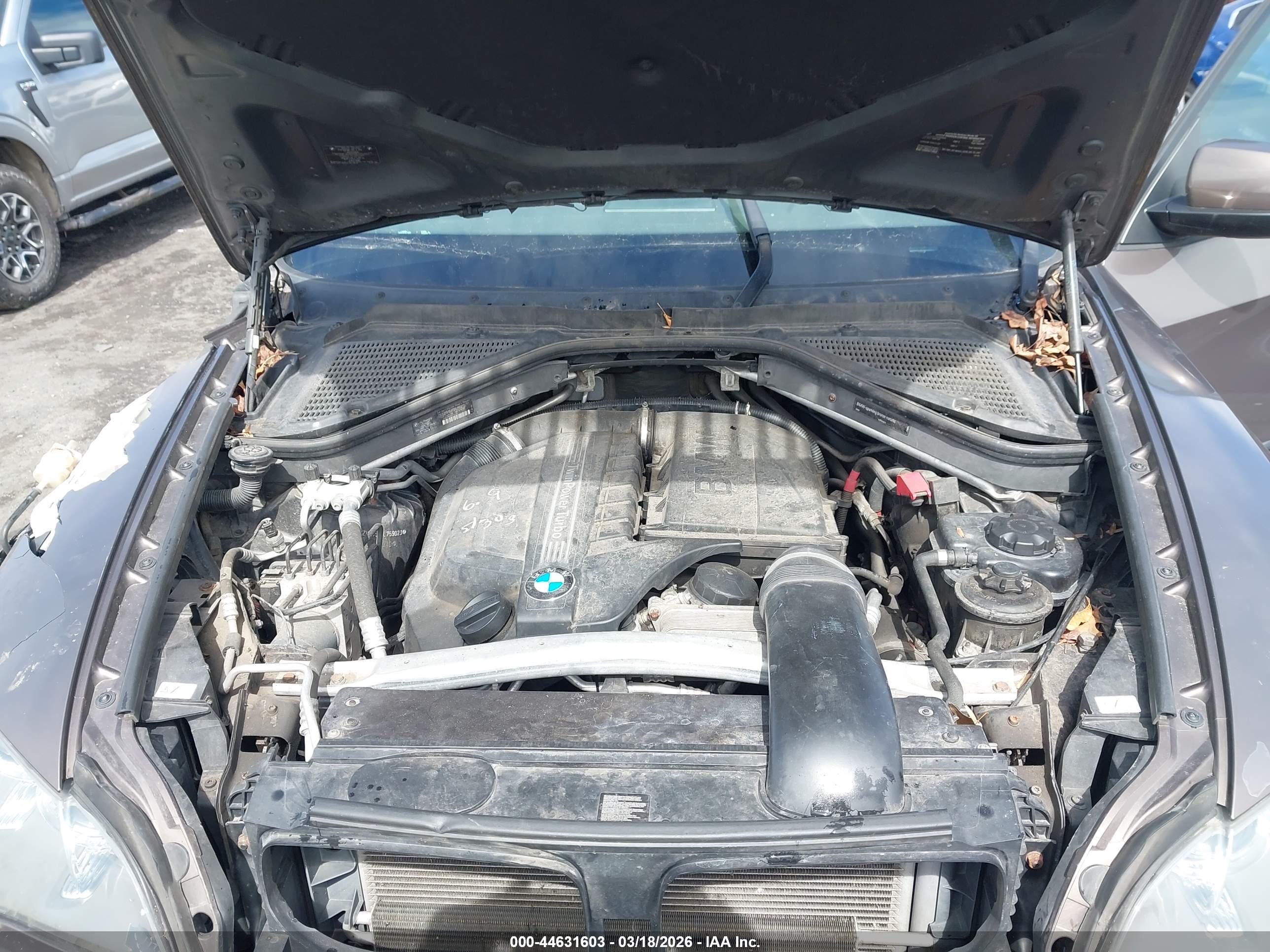 BMW X5 image 10
