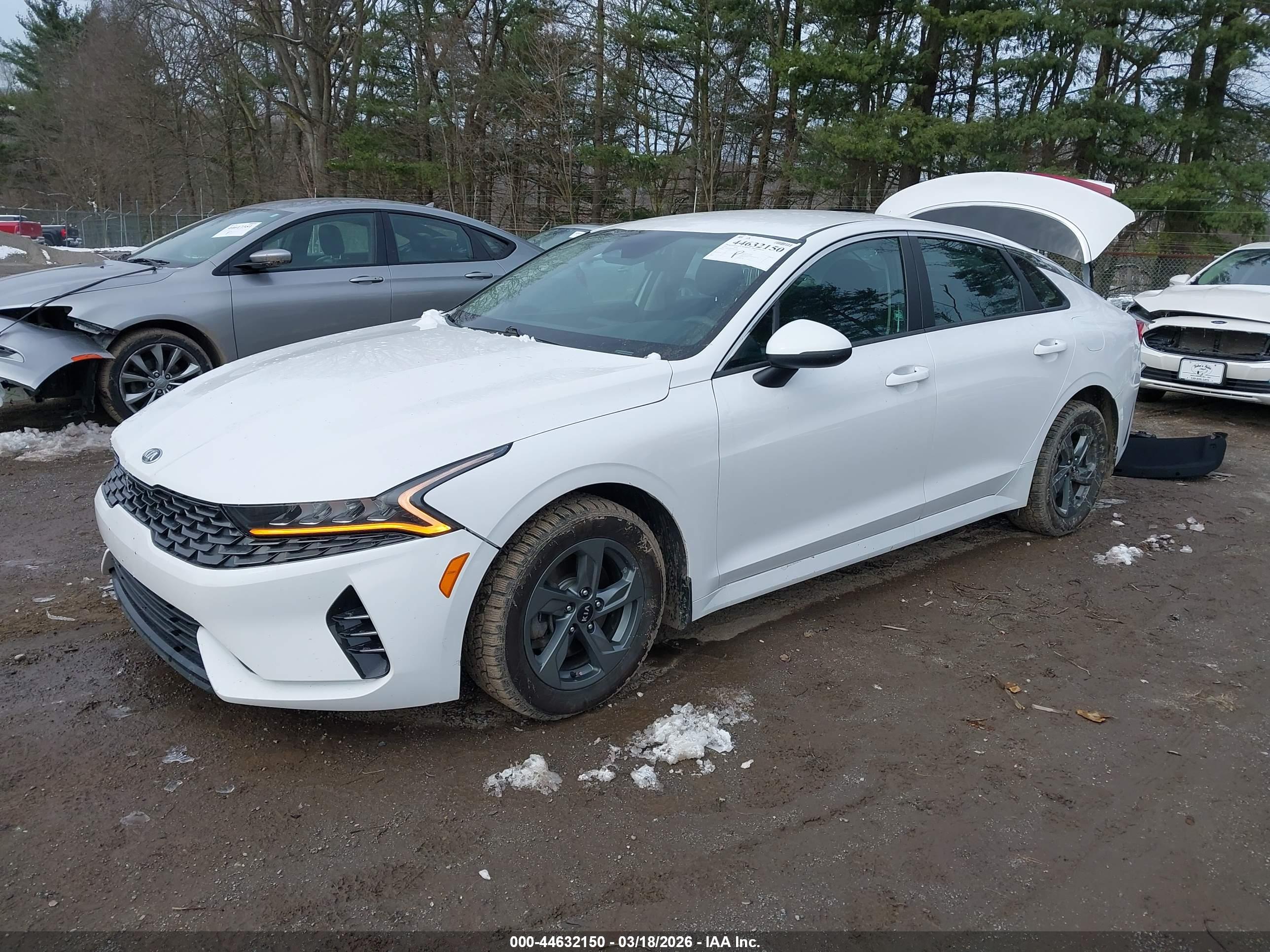 KIA K5 image 2