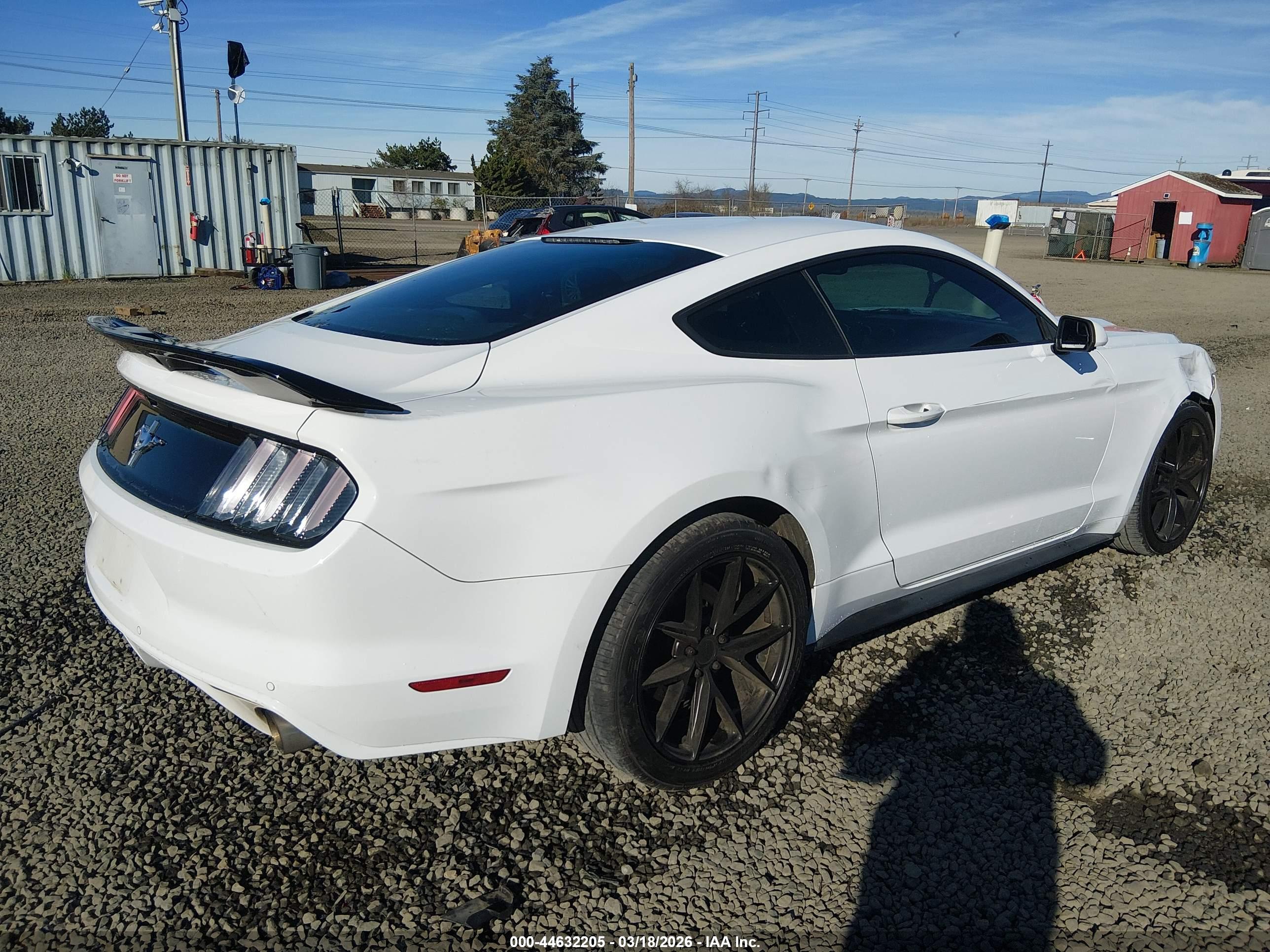 FORD MUSTANG image 4