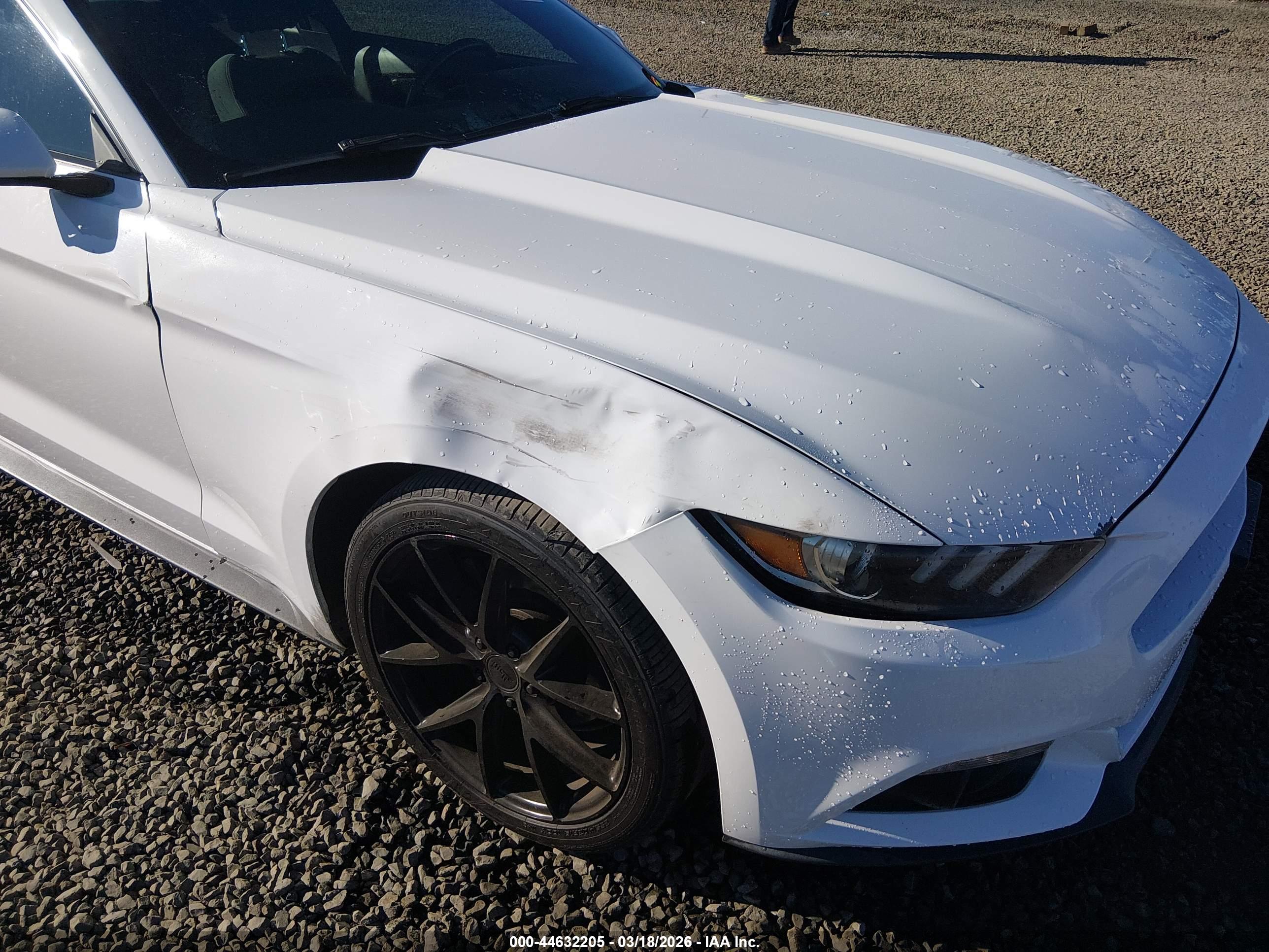 FORD MUSTANG image 6