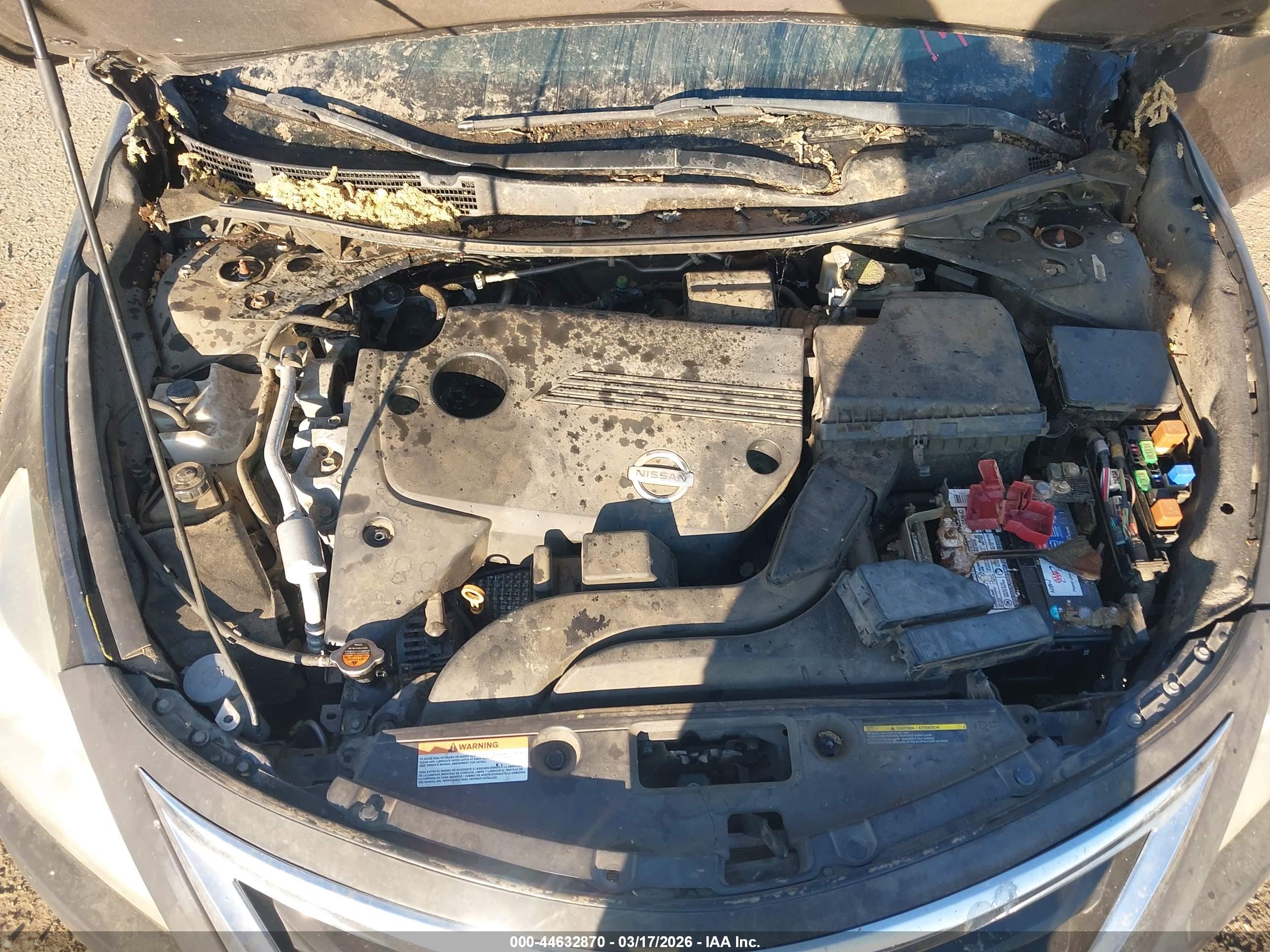 NISSAN ALTIMA image 10