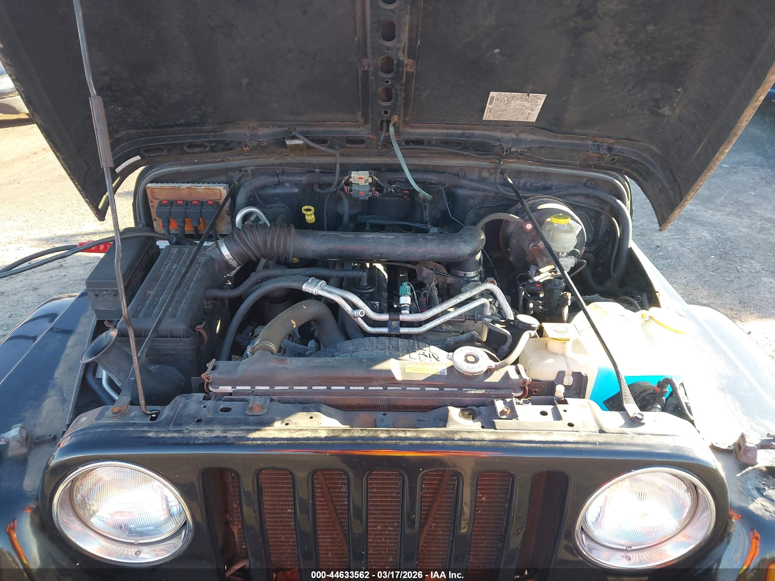JEEP WRANGLER image 10
