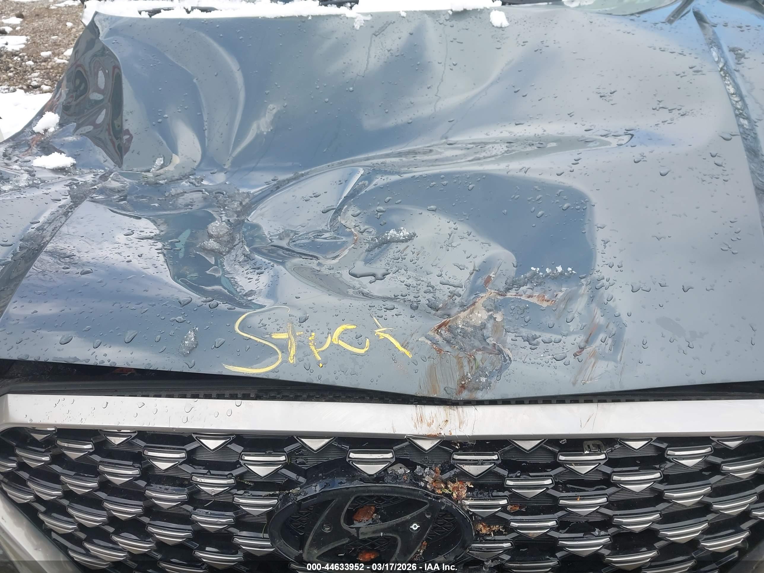 HYUNDAI PALISADE image 10