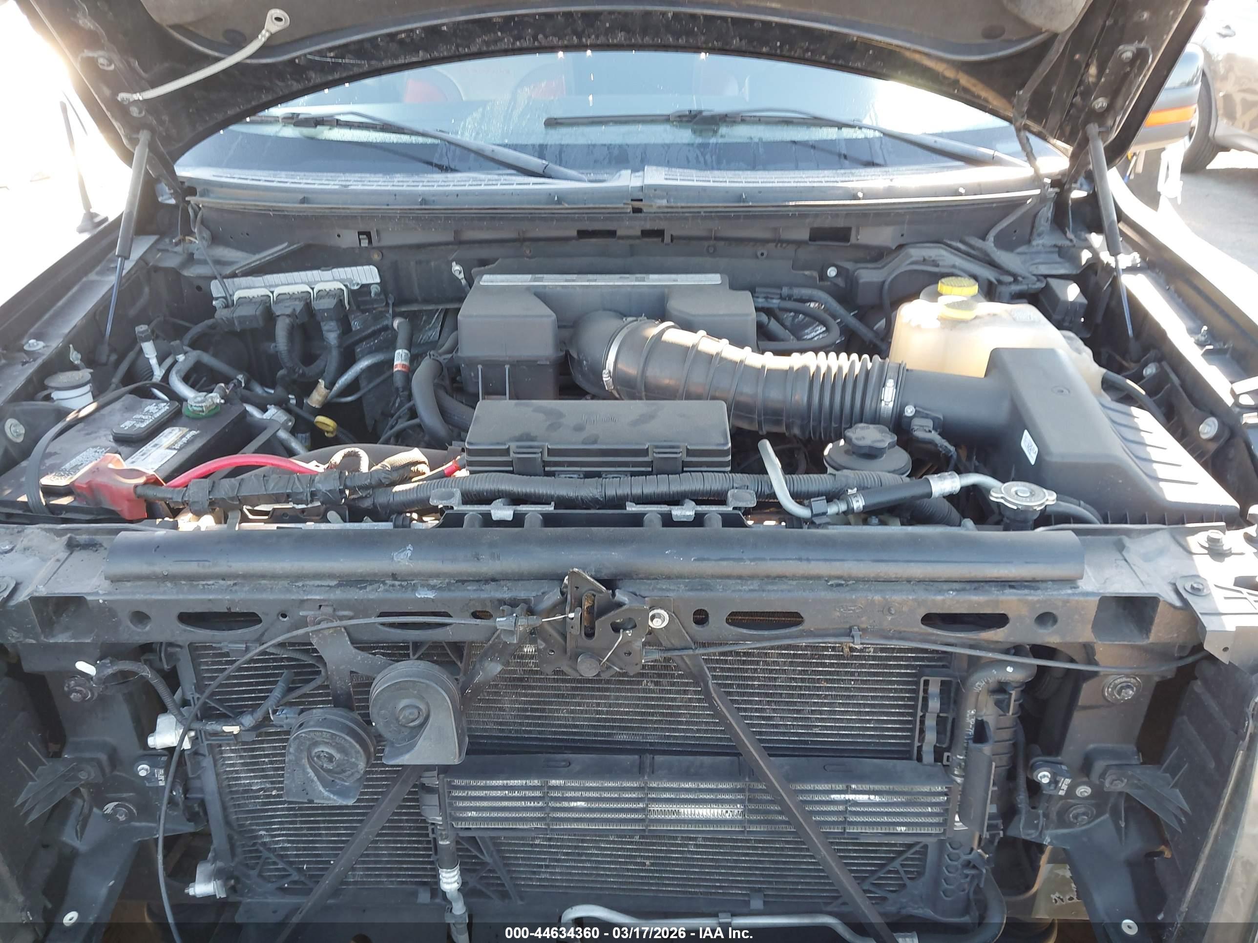 FORD F-150 image 10