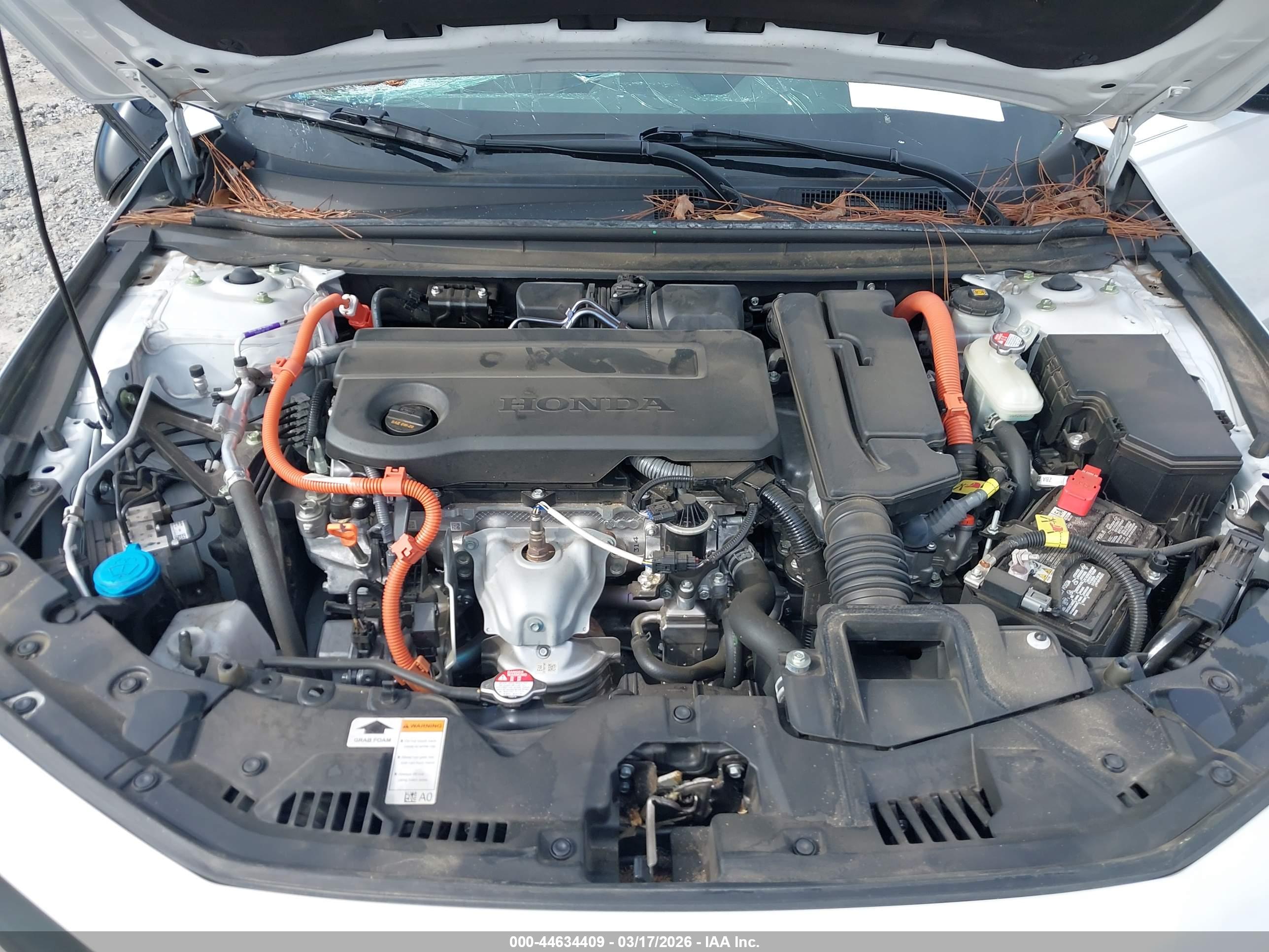 HONDA ACCORD image 10