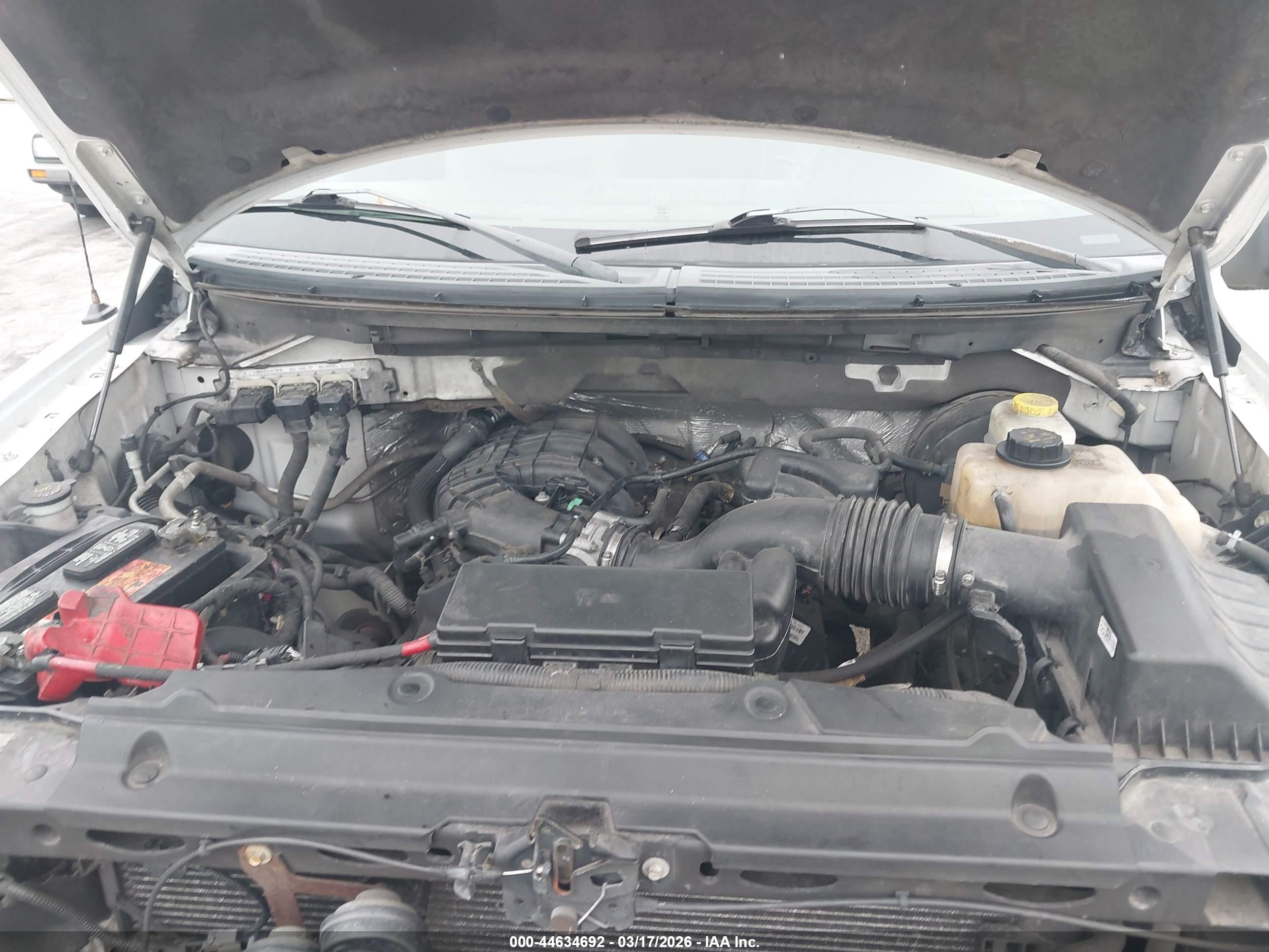 FORD F-150 image 10