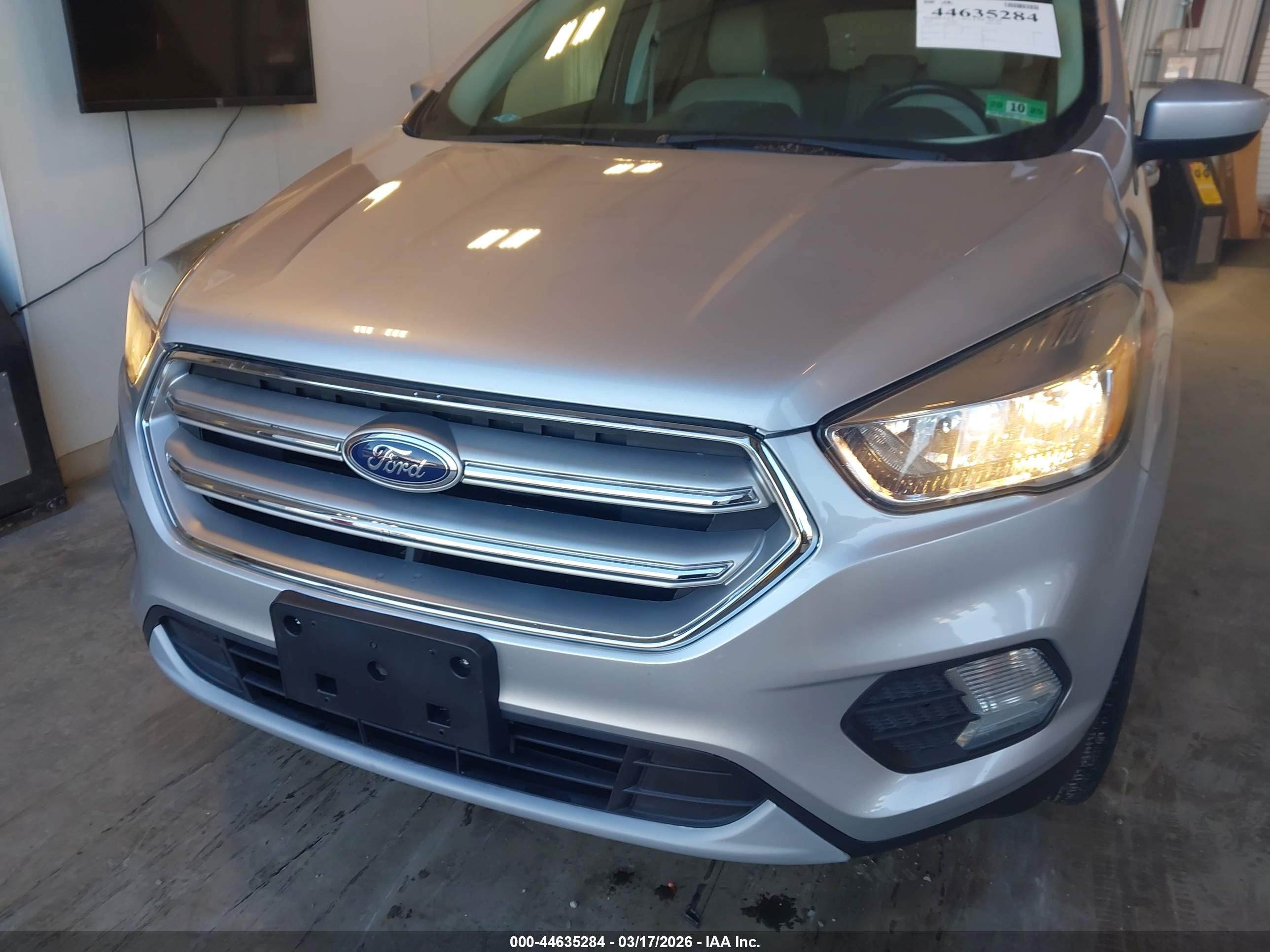 FORD ESCAPE image 6