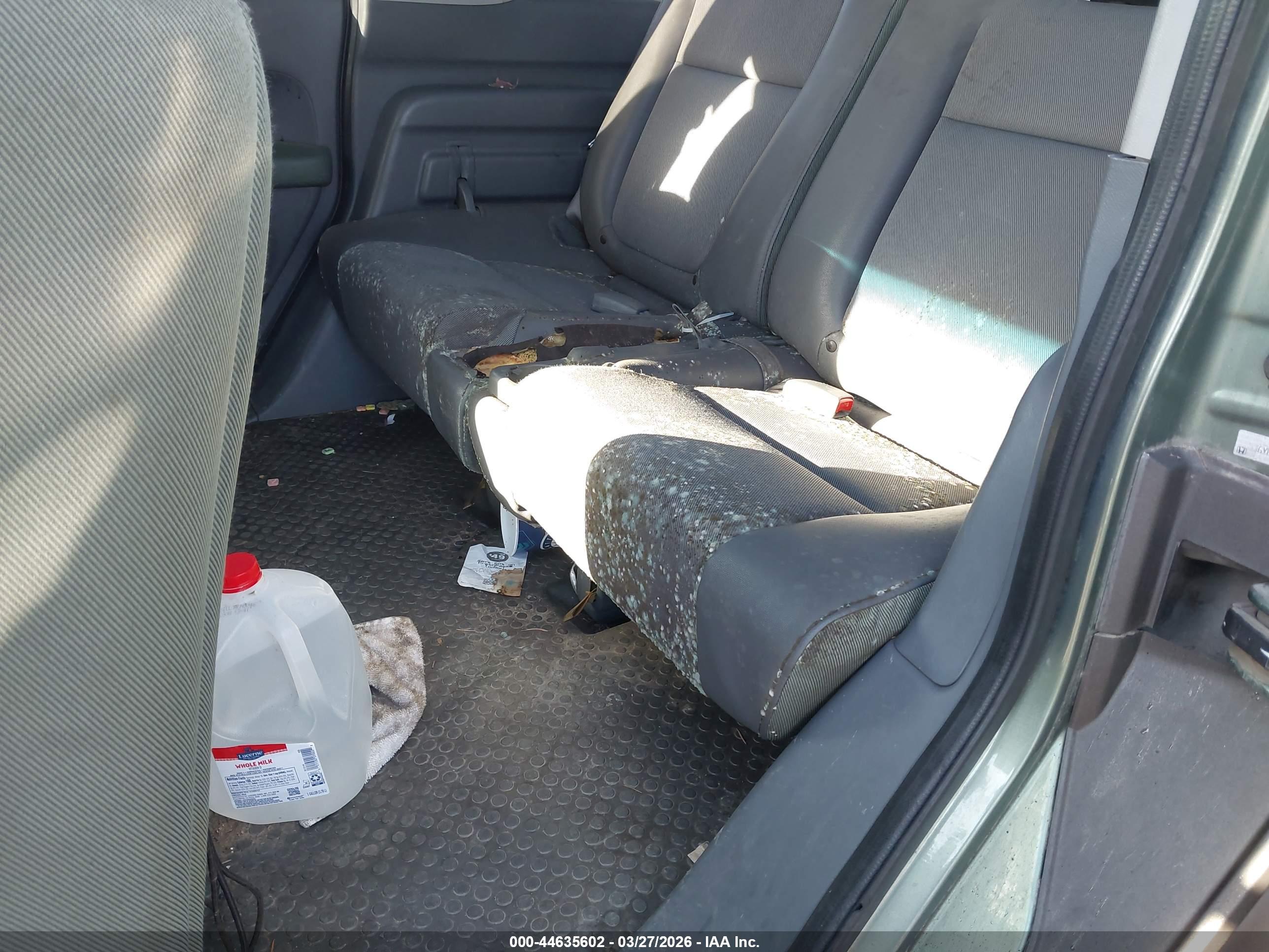 HONDA ELEMENT image 6