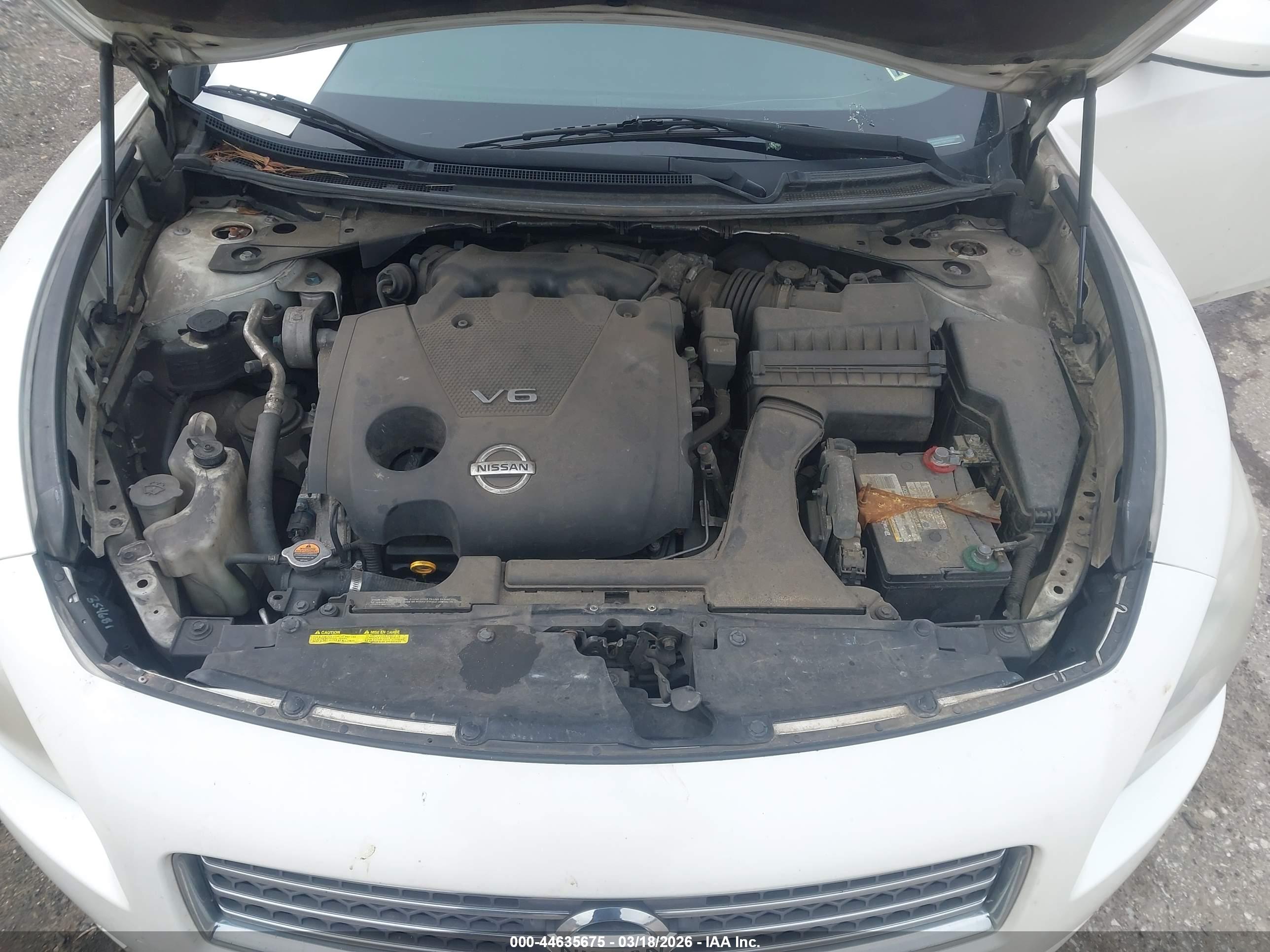 NISSAN MAXIMA image 10